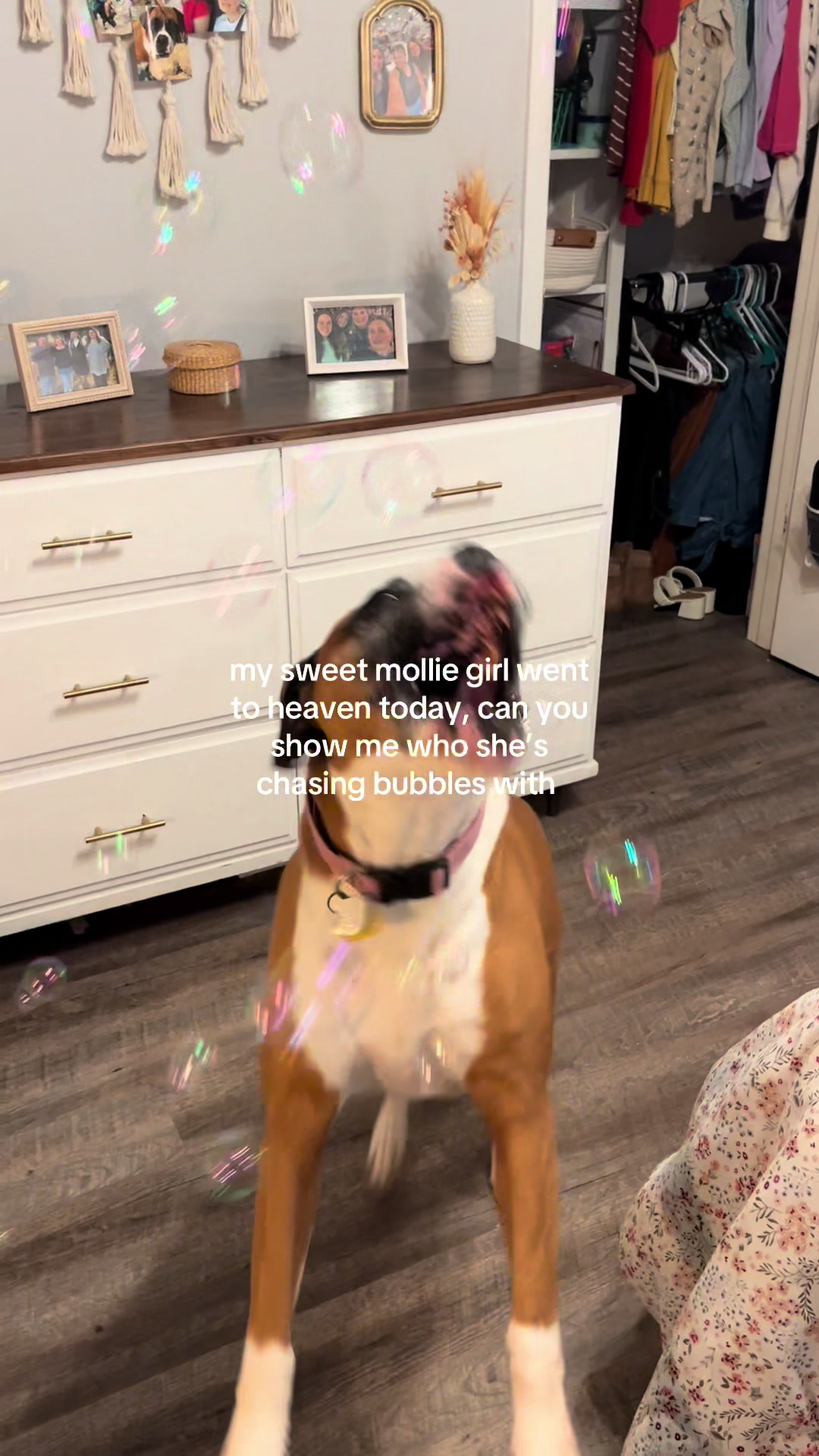 @Karsyn