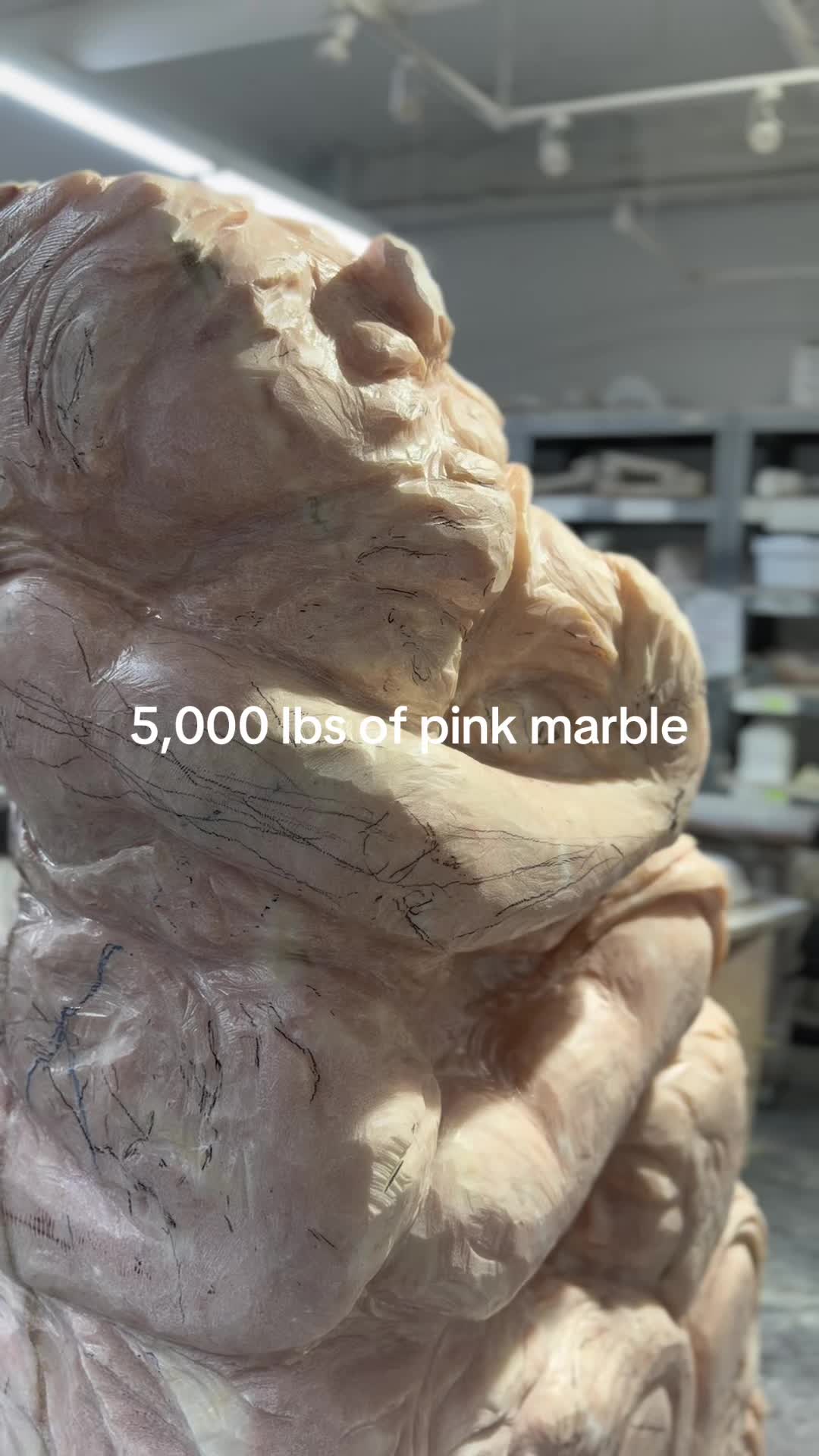 @macleodpittsboxing