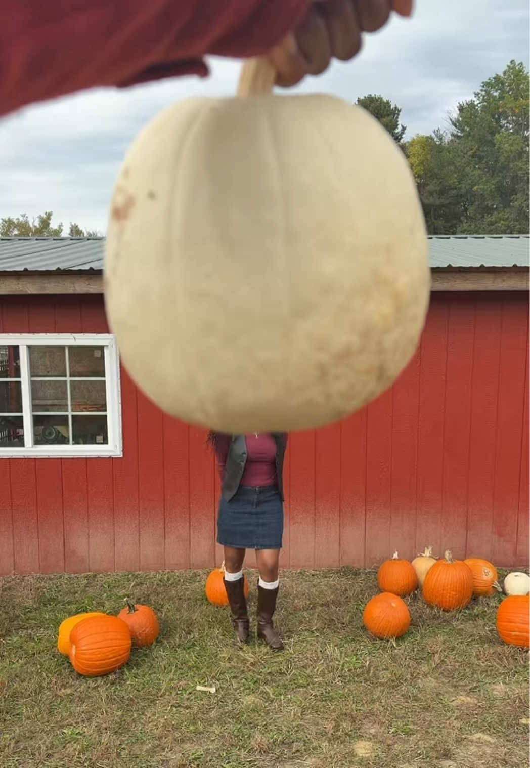 @Priscillalynn