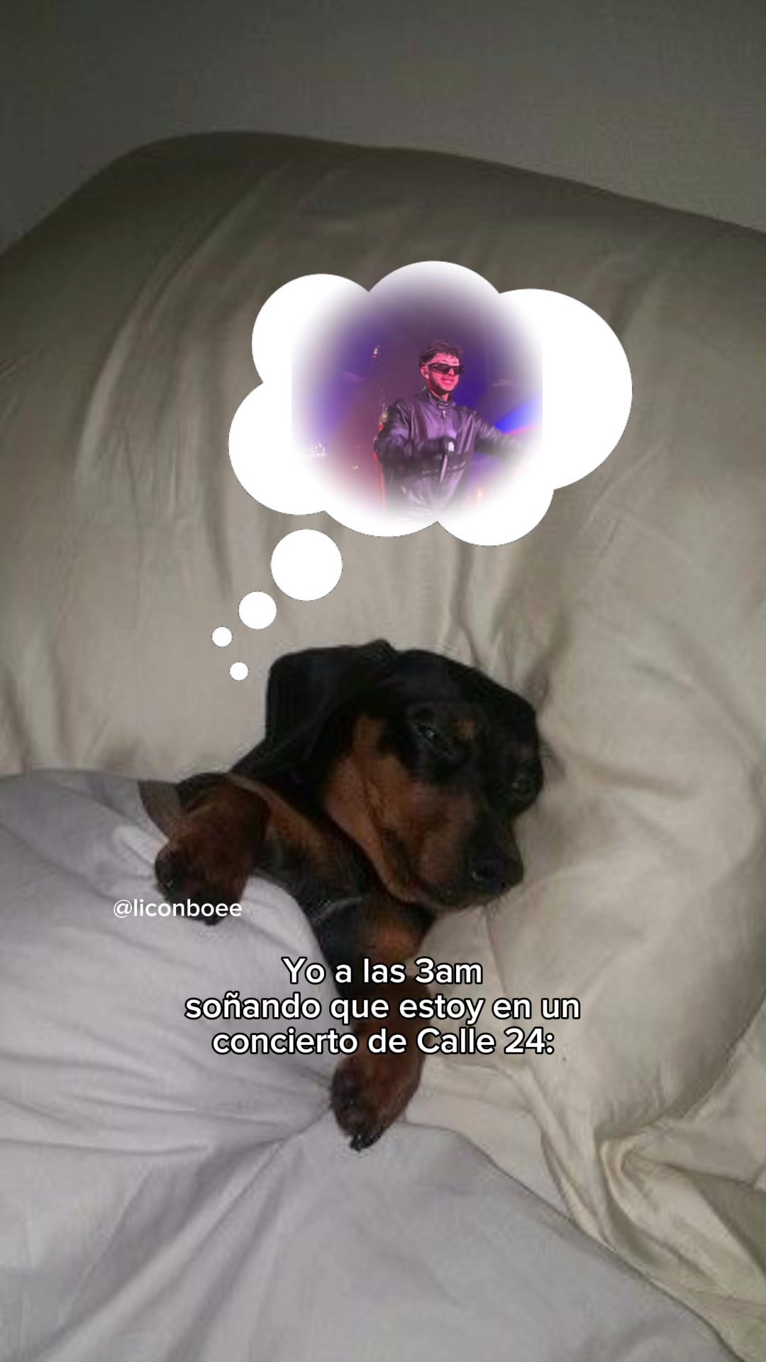 @Licon