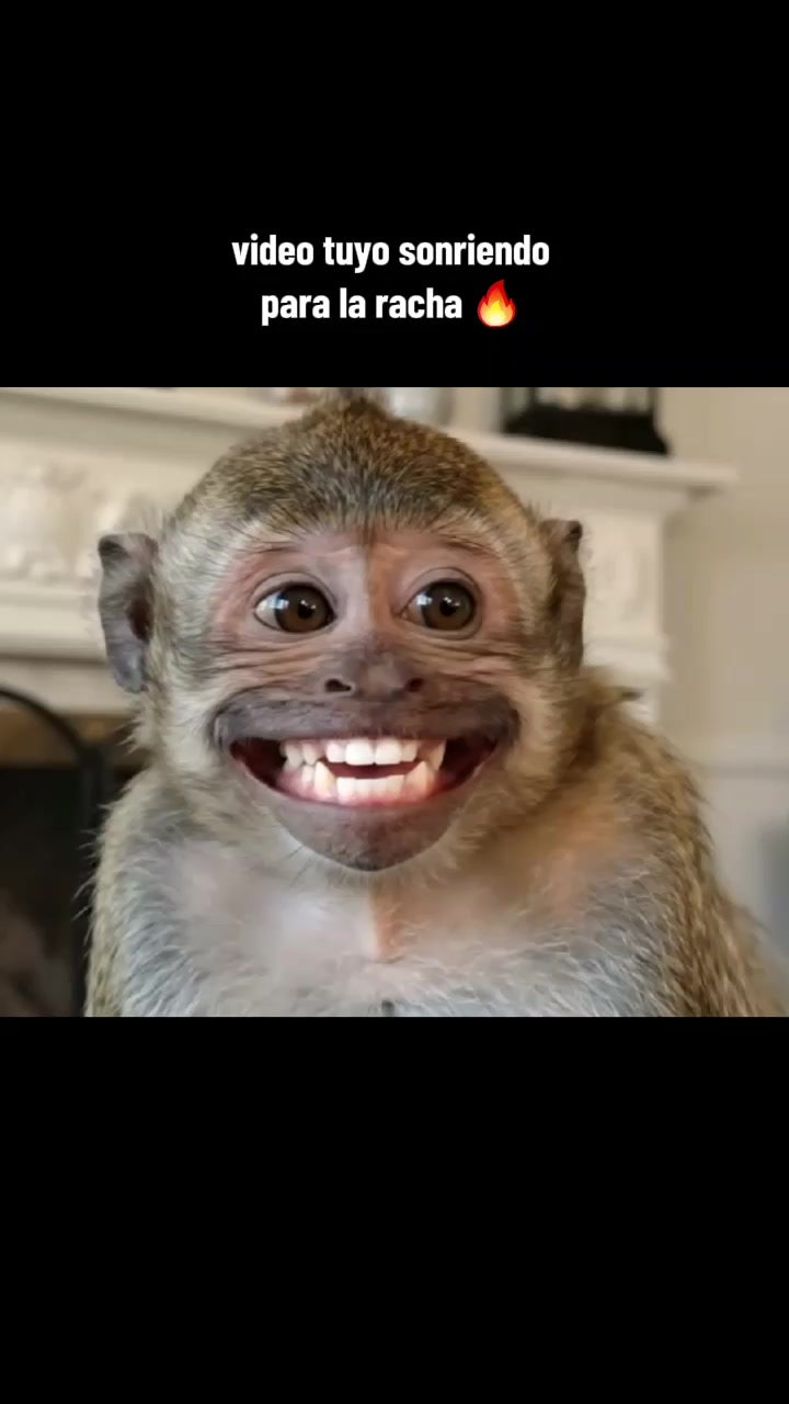 @RabPesito 🔥