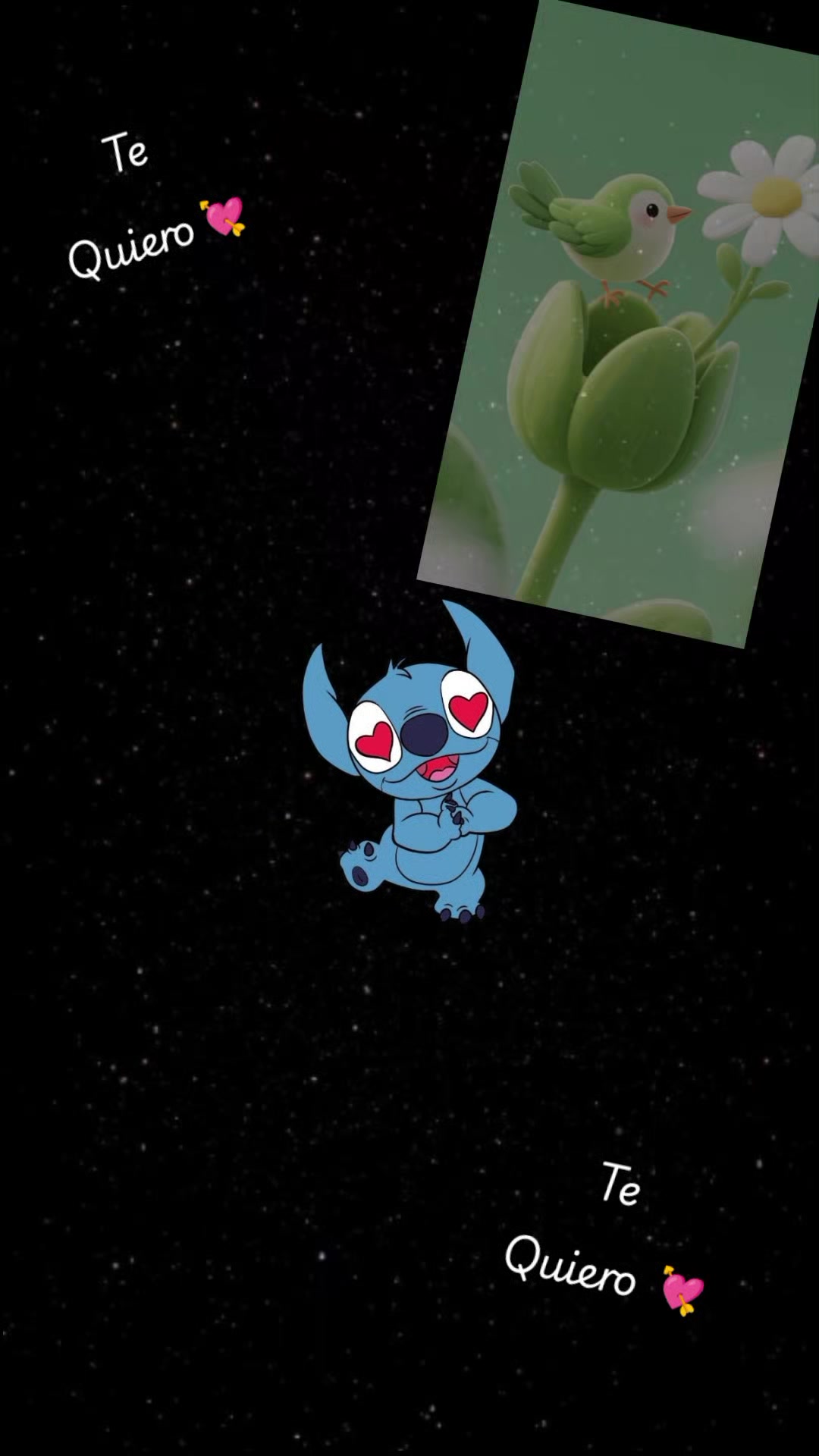 @๐ฆ๐ท๐คEโrโiโcโkโaโ๐ค๐ท๐ฆ