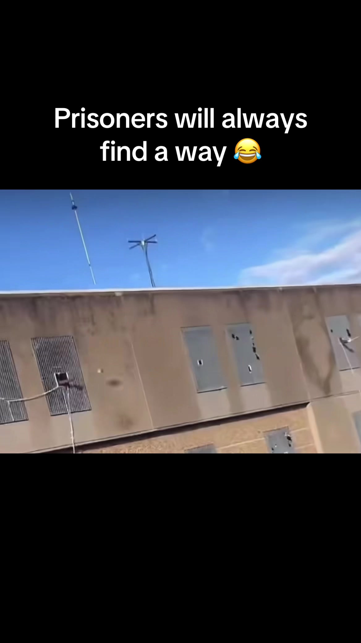 @humanbehaviorlmao