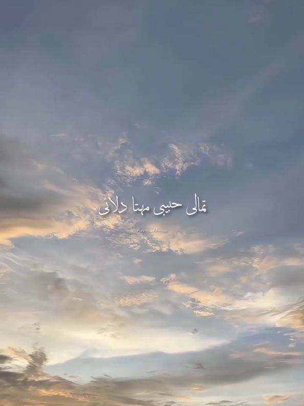 @Mahnoor Awan545
