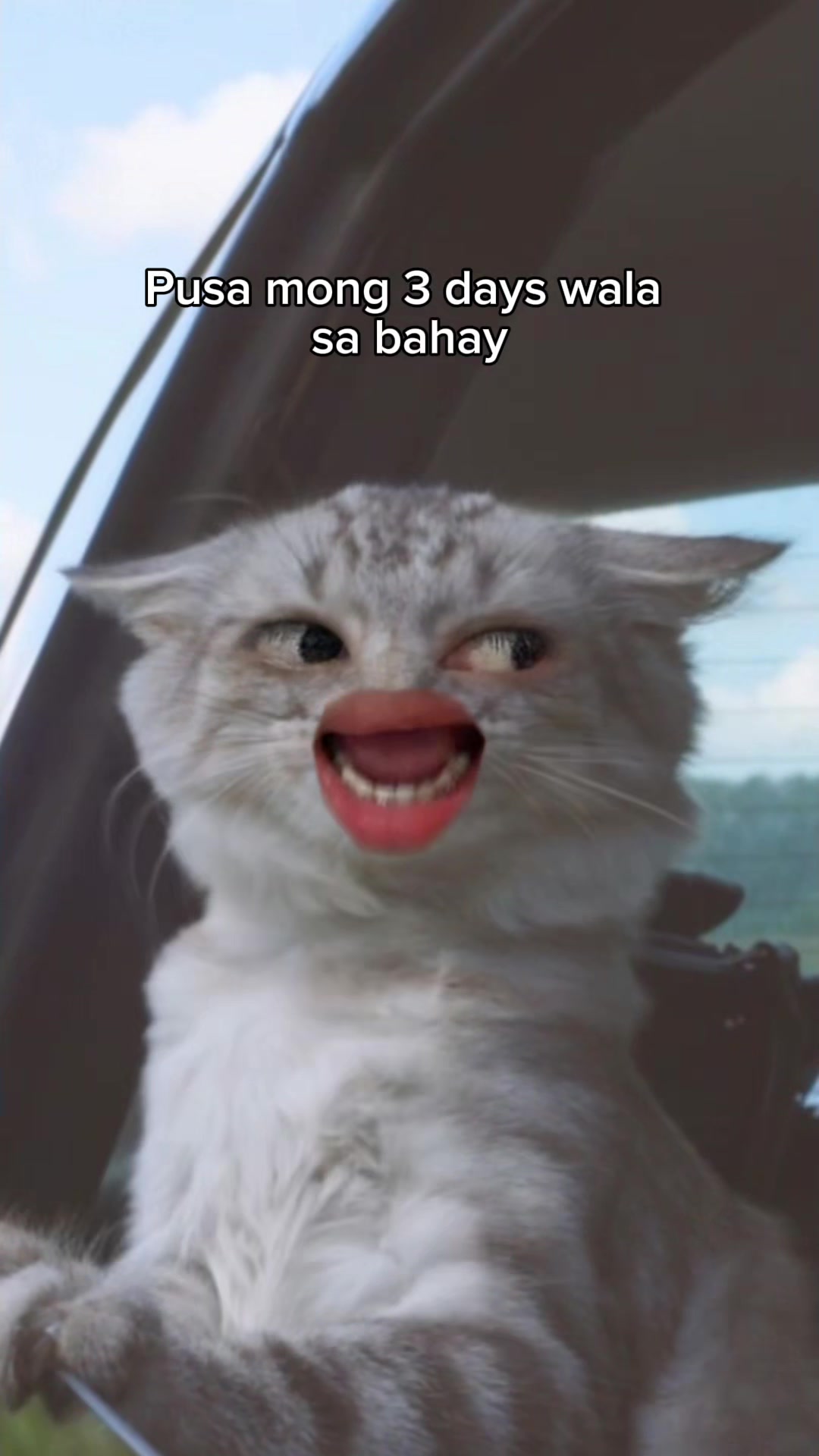 @BAET