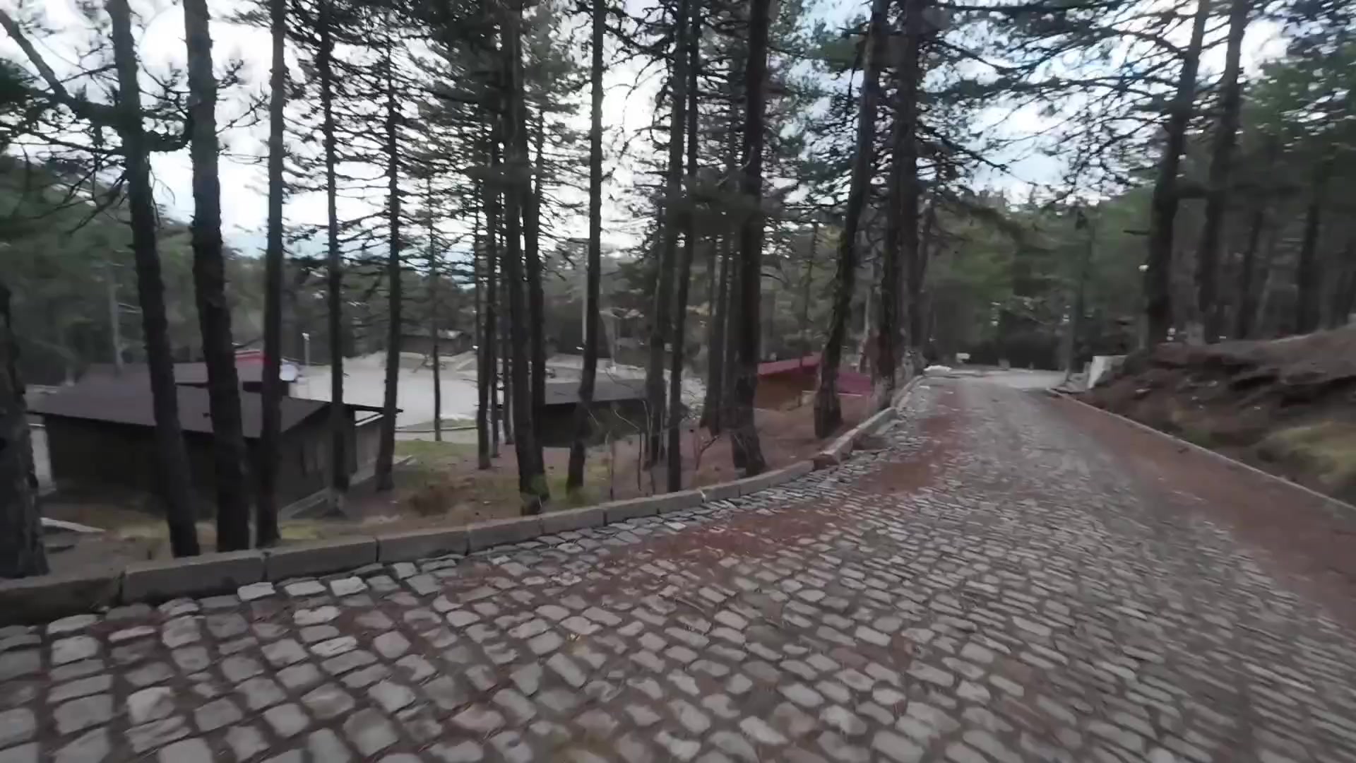 @🇹🇷𝓡𝓐𝓜𝓞 🇹🇷