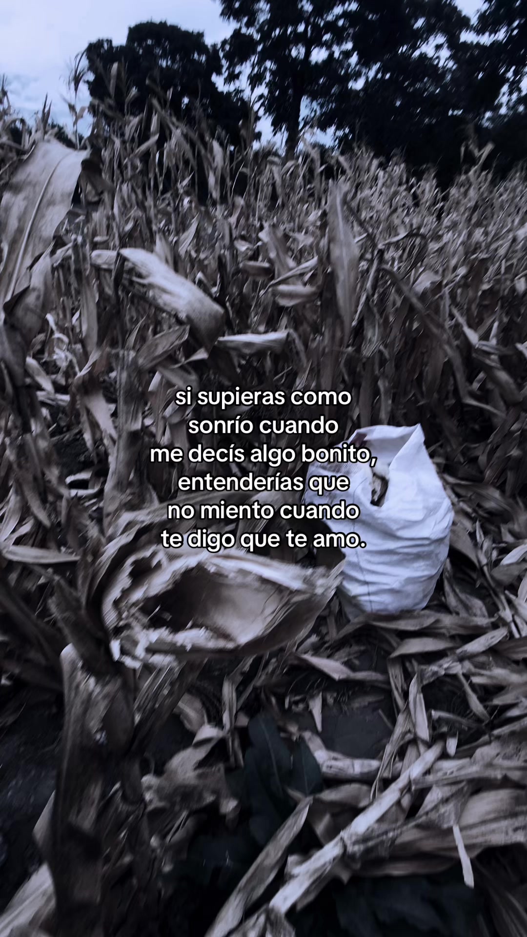 @️🥀Rafa🪫