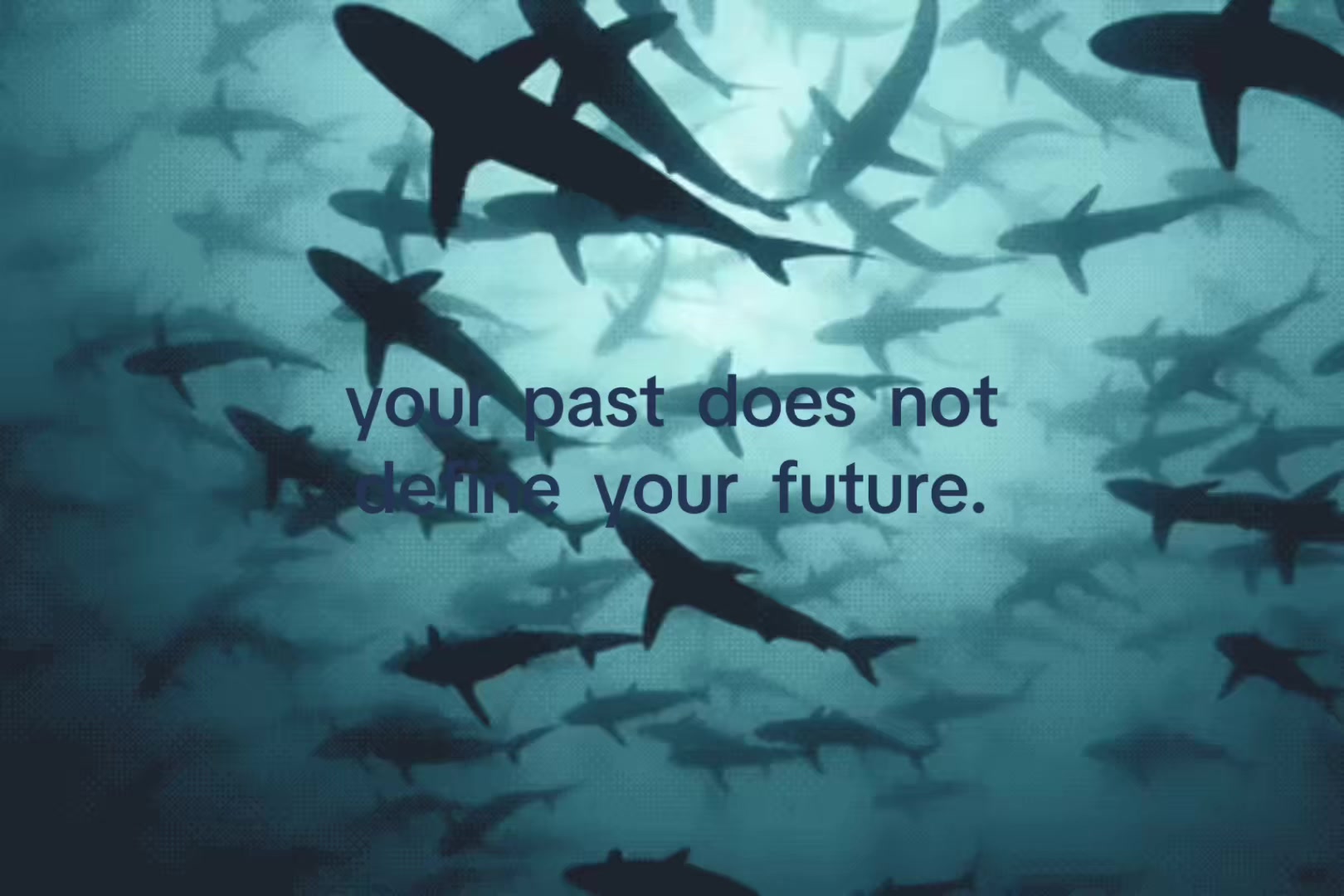 @saga