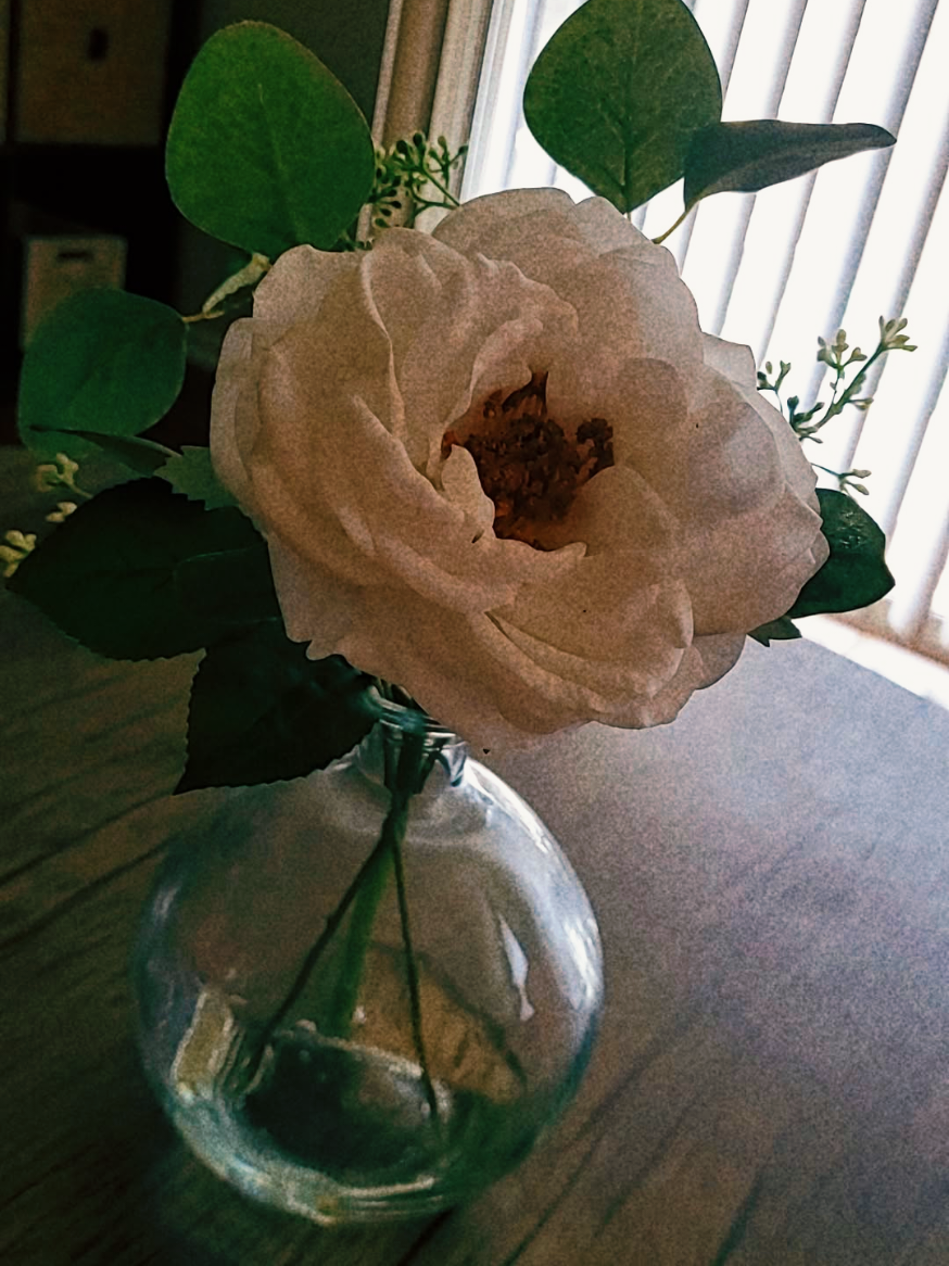 @Restored to Rise