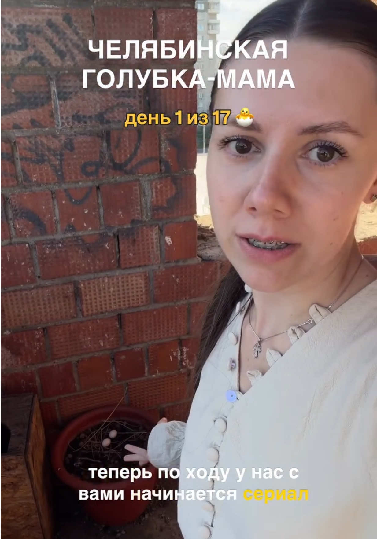 @taro_chel