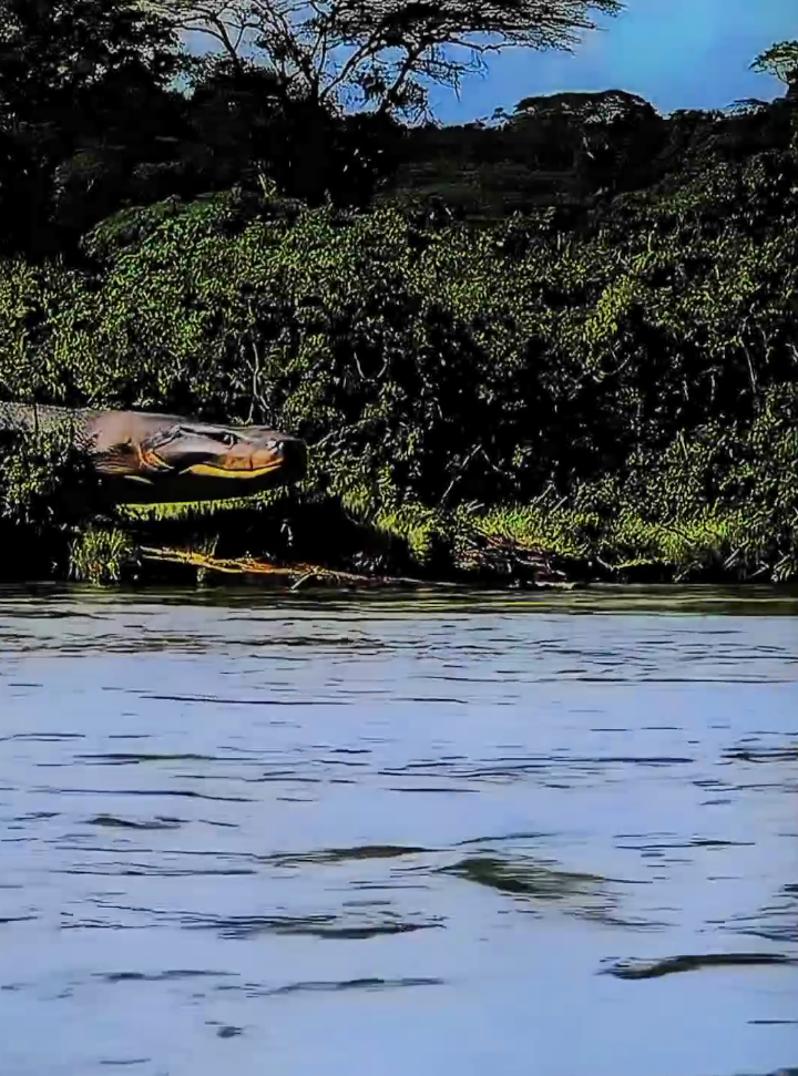 @𝗥𝗲 𝗙𝗹𝗲𝗸𝘀𝗶𝗯𝗲𝗹