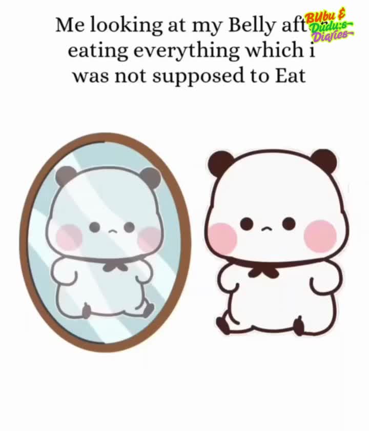 @Bubu & Dudu's Diaries