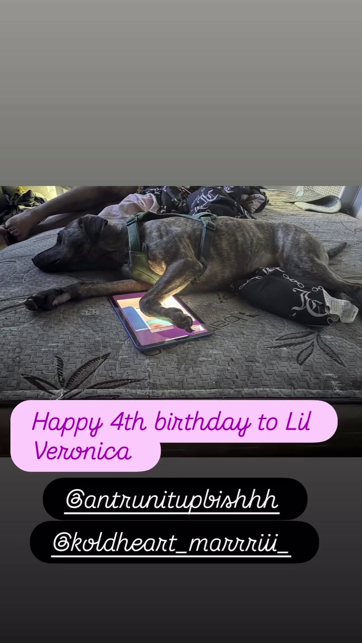 @poohRocaRoni23