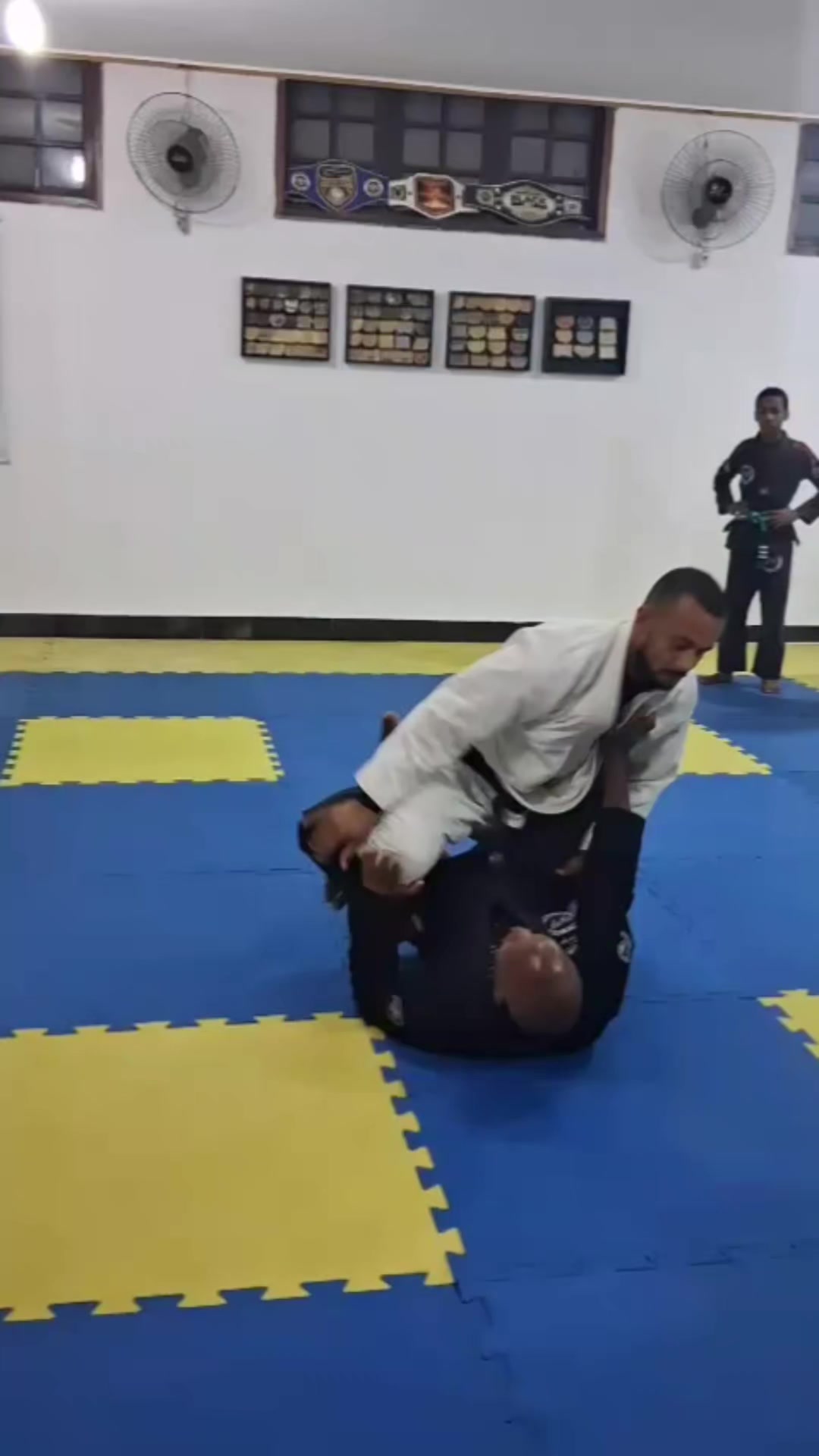 @mauricioribeiro.bjj