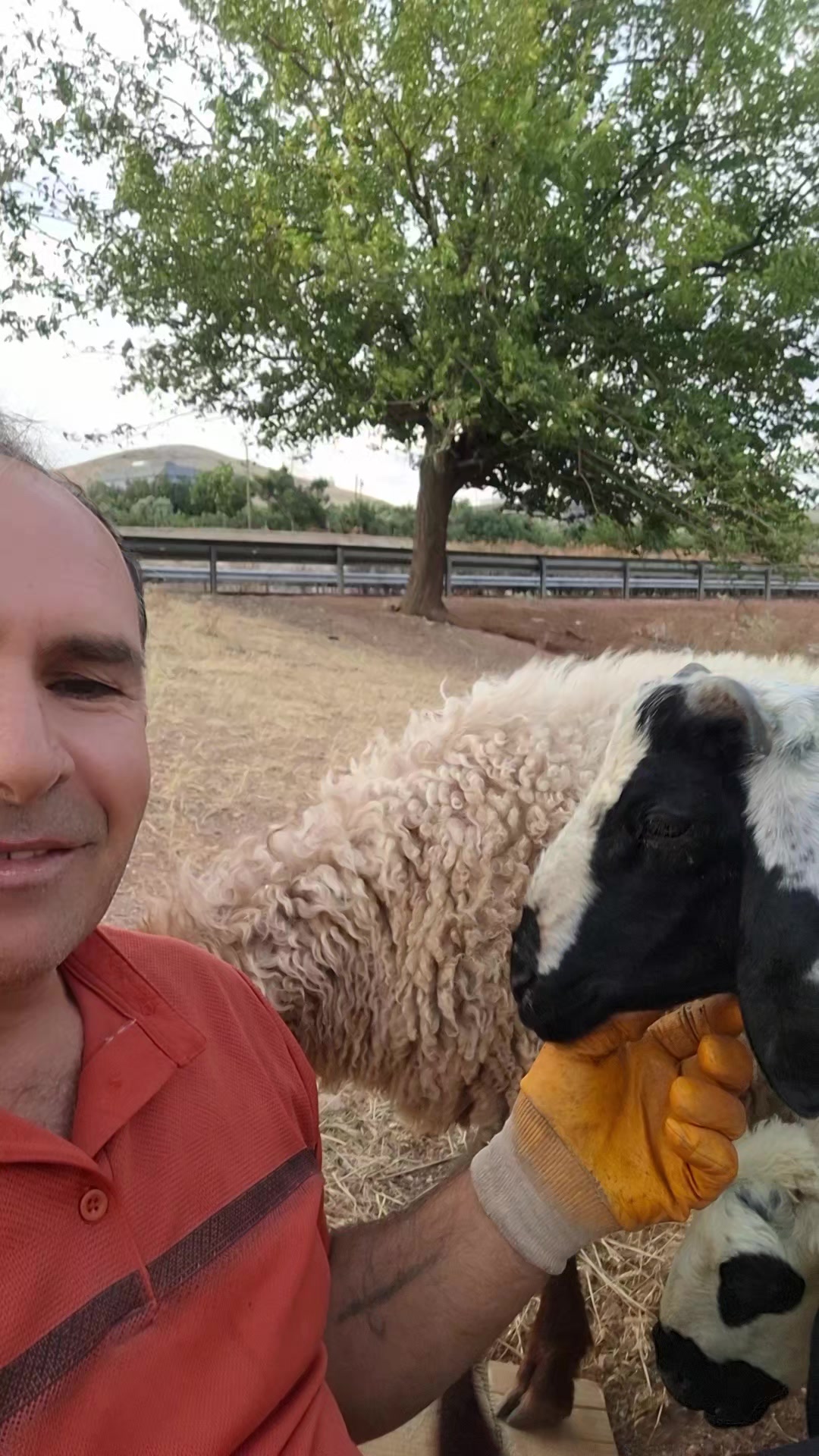 @Halil Buluş