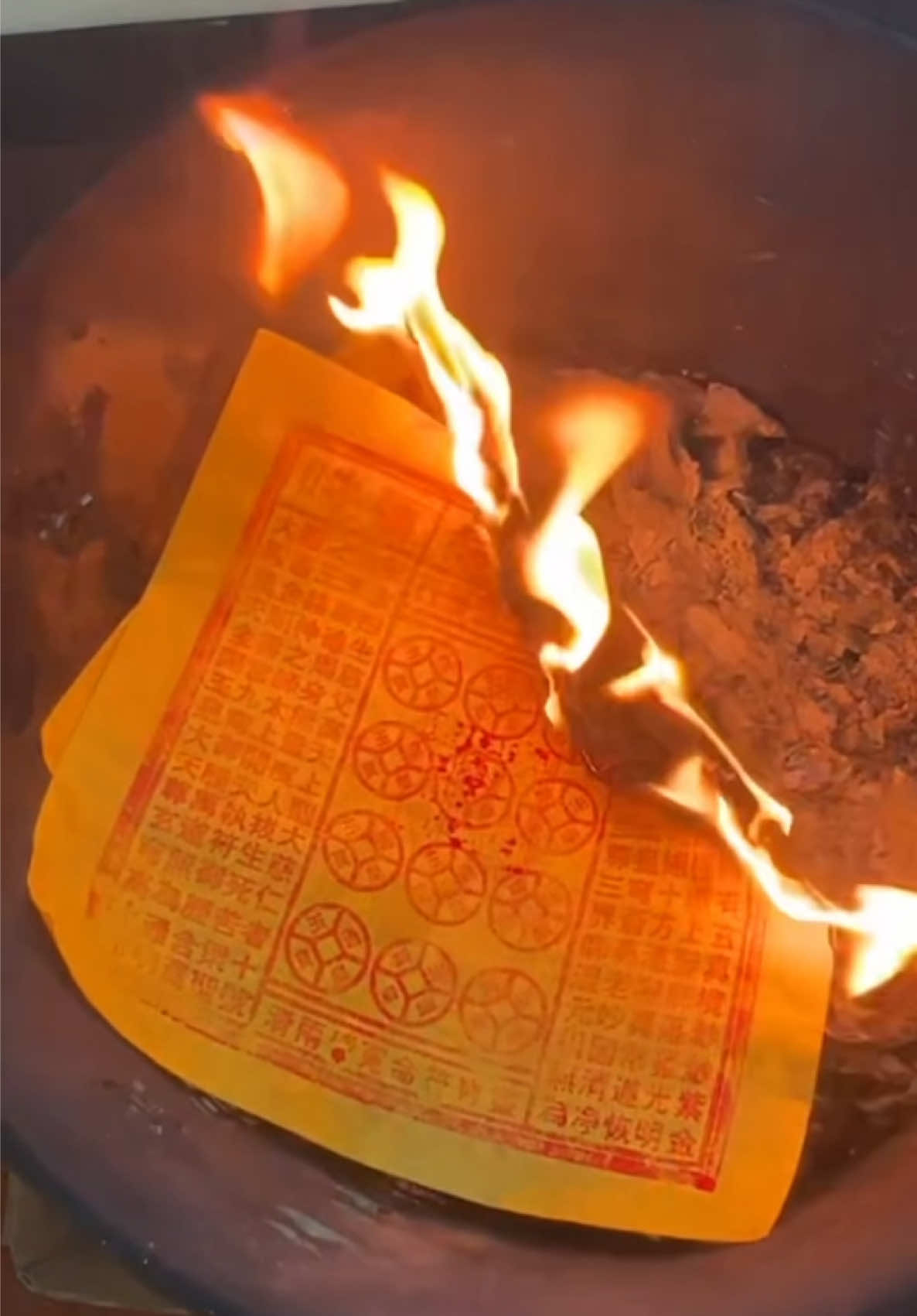 @☯️米小玄&mdash;北美小道☯️