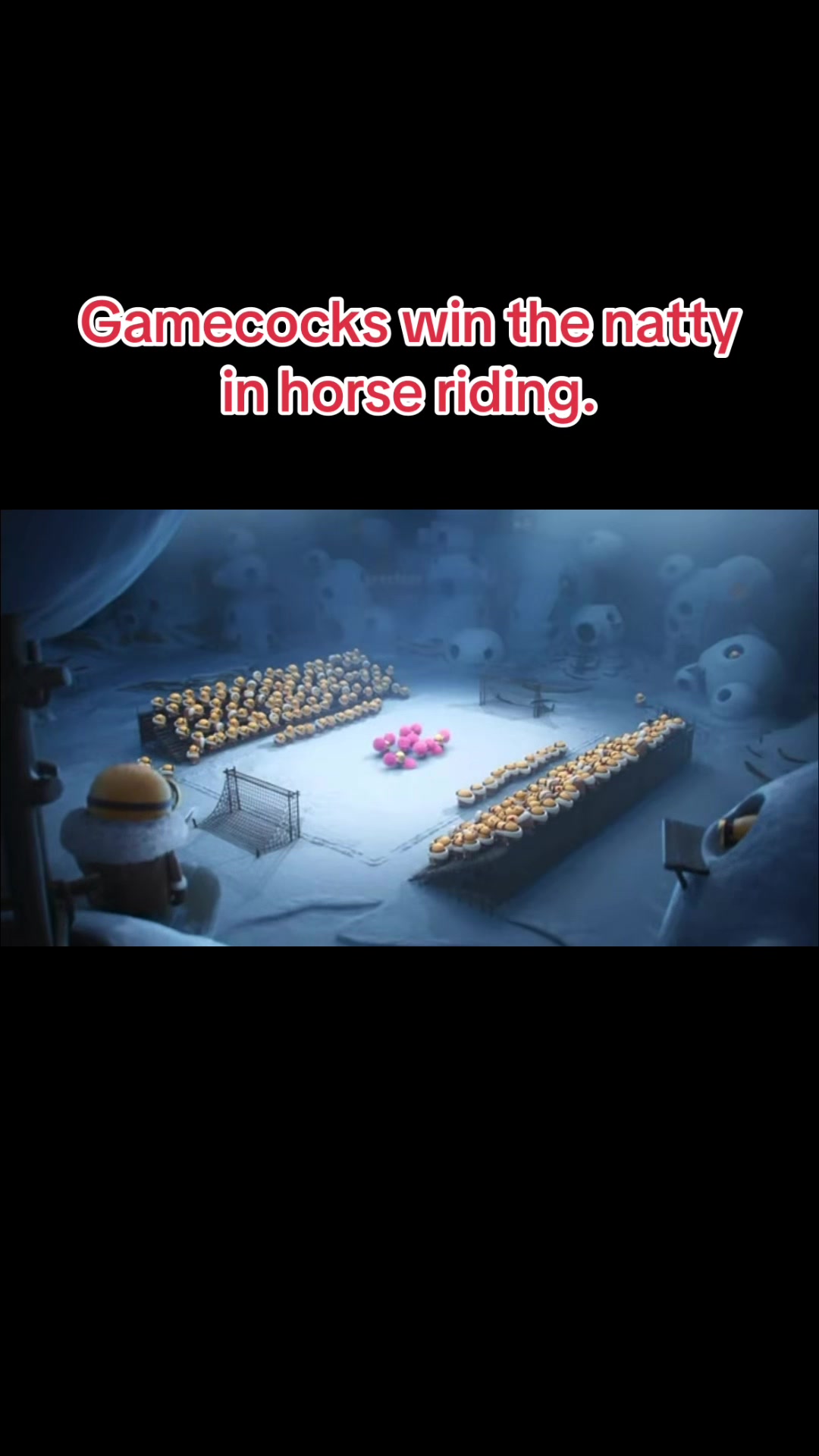 @Gamecock.country