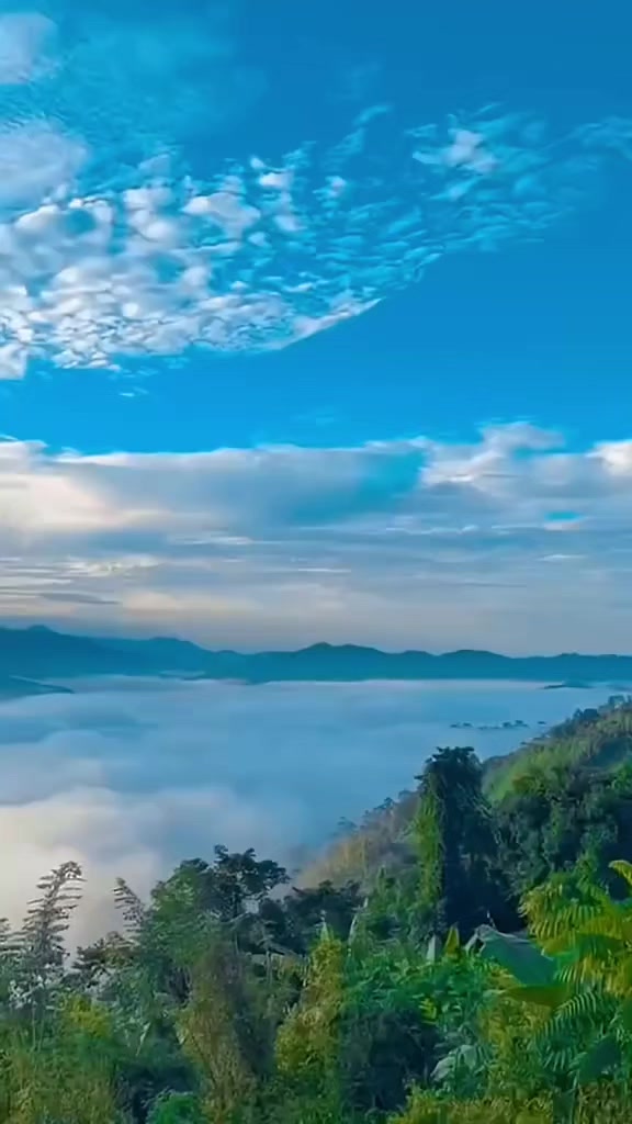 @واثقه بالله