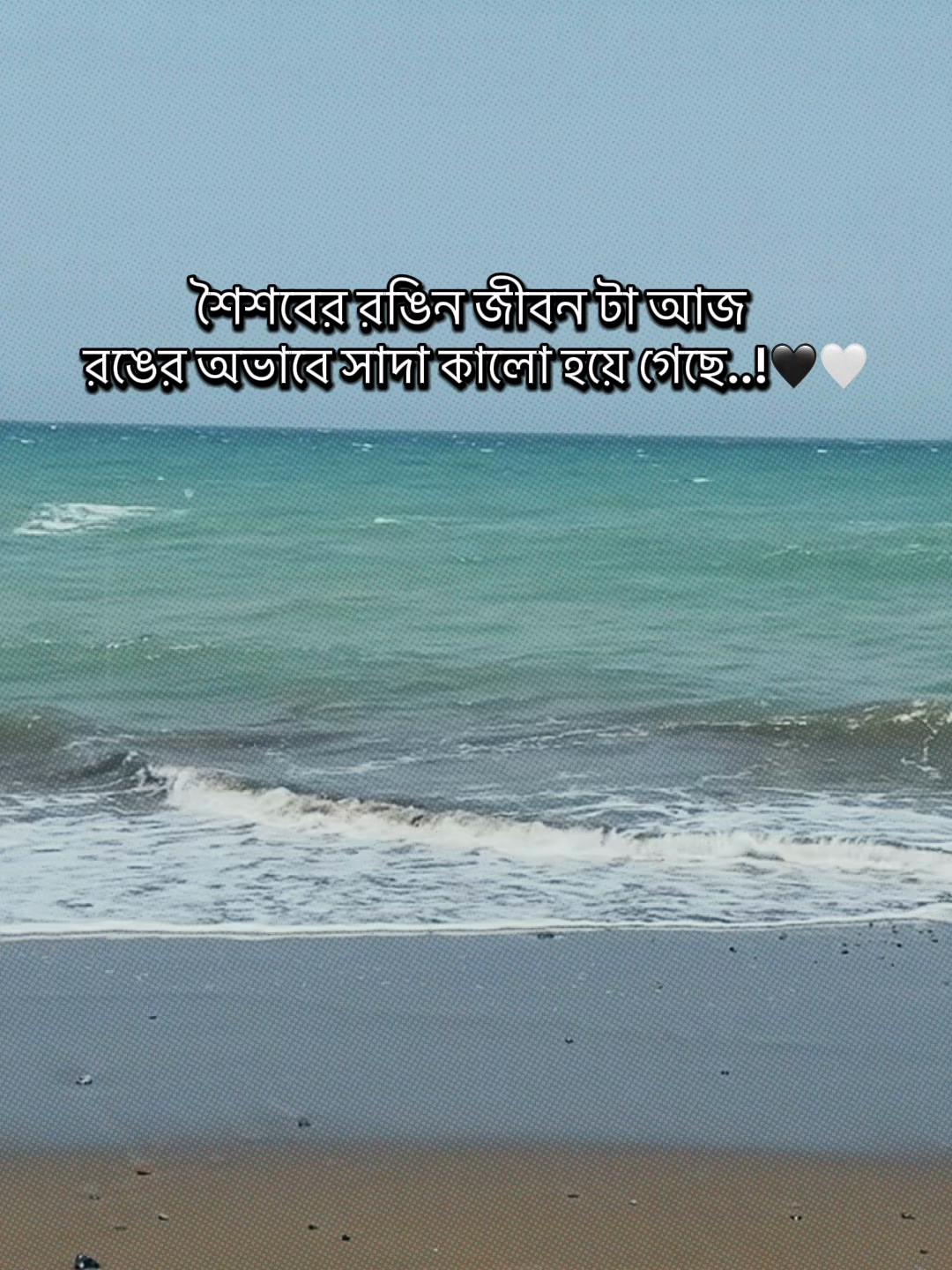 @Md Shakil
