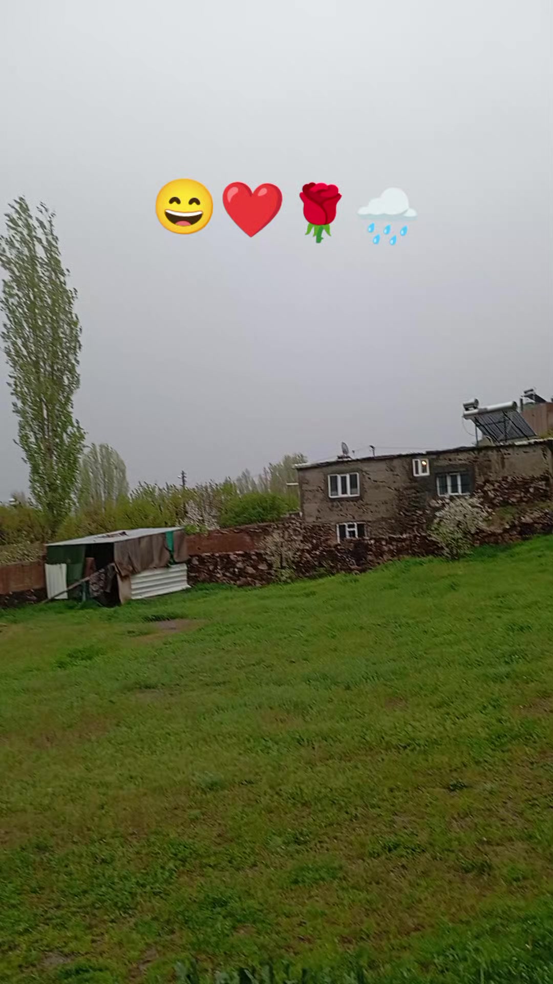 @bazidli adem04
