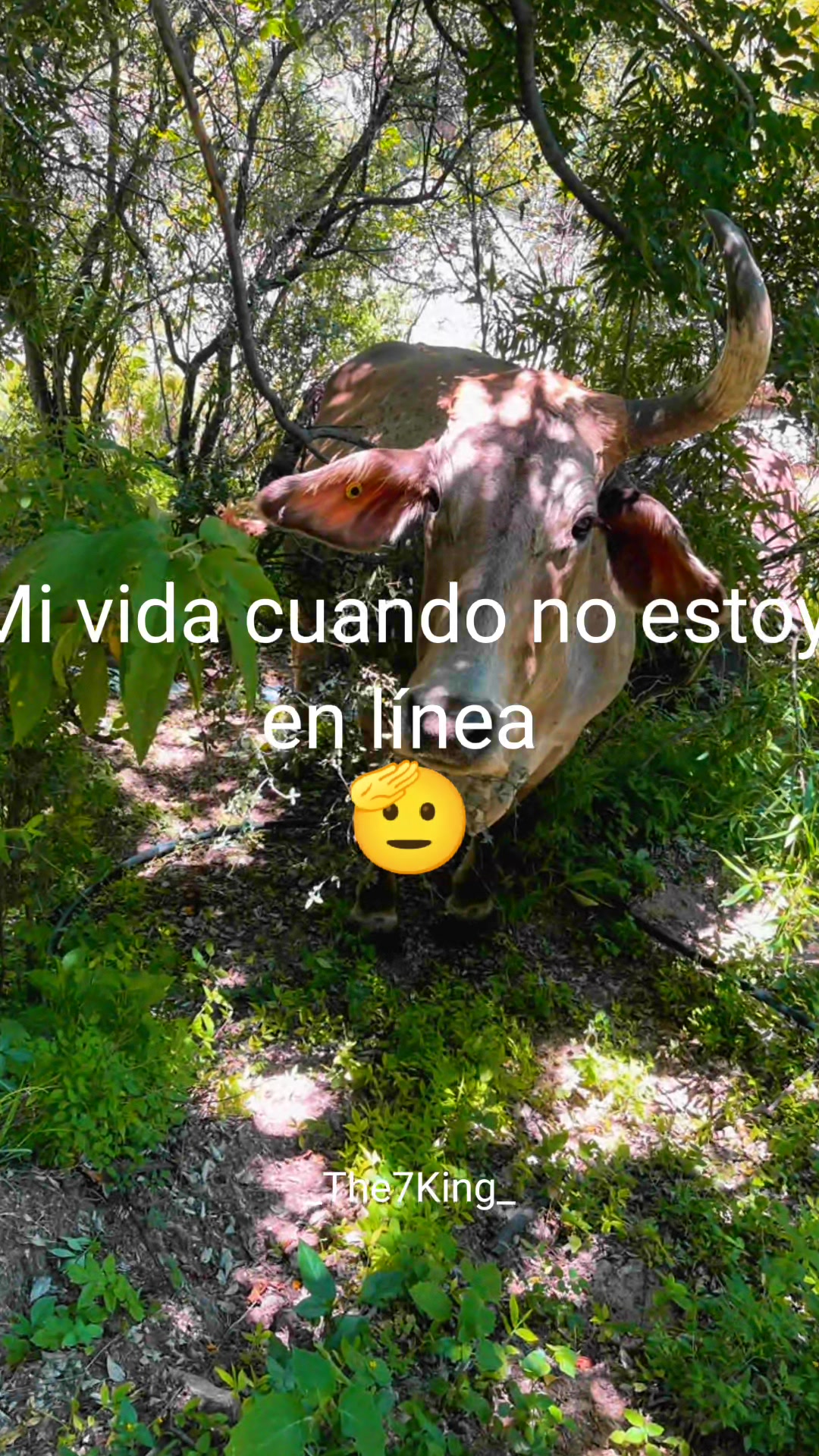 @Maryy Perez