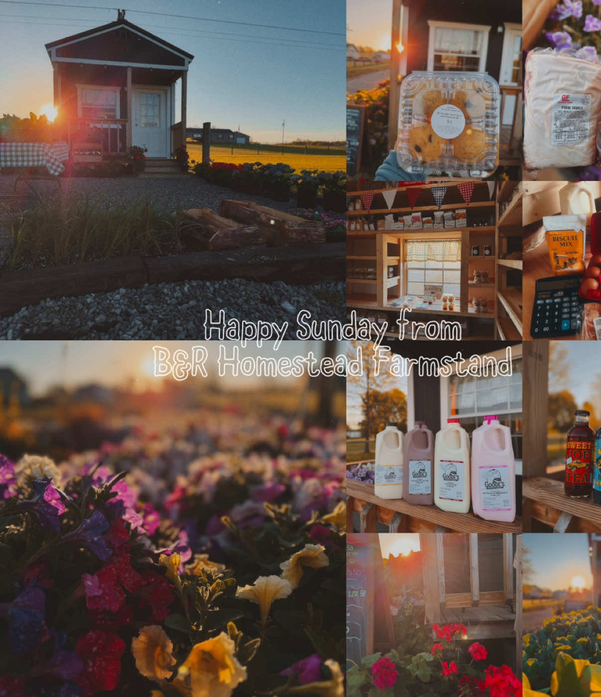 @Deanna 🧺👩🏻&zwj;🌾 &bull;Farmstander&bull;