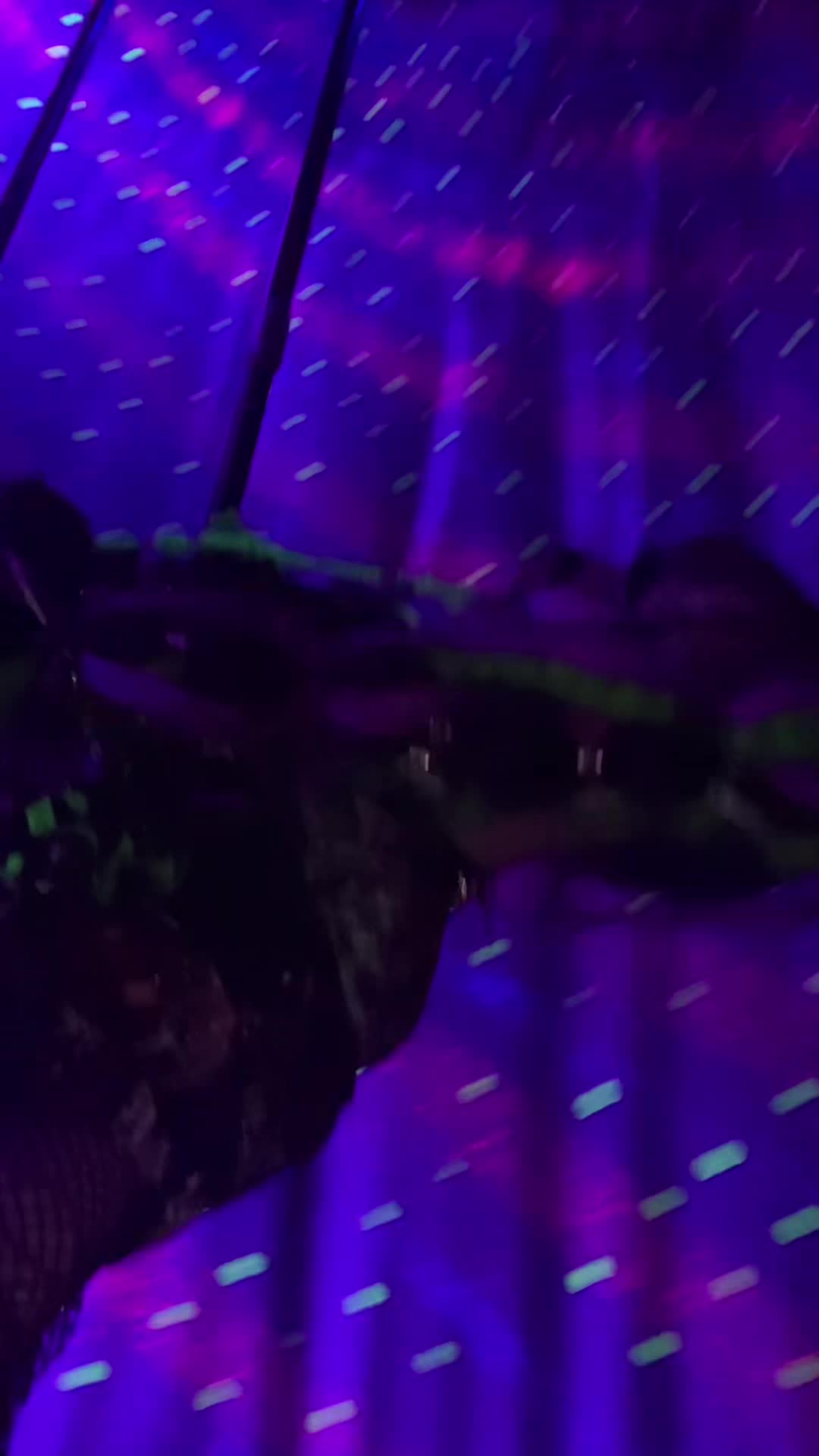 @e i l l a / b u b b l e z