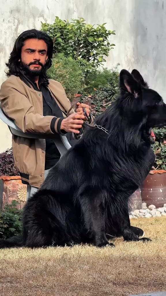 @AfaqChaudhry