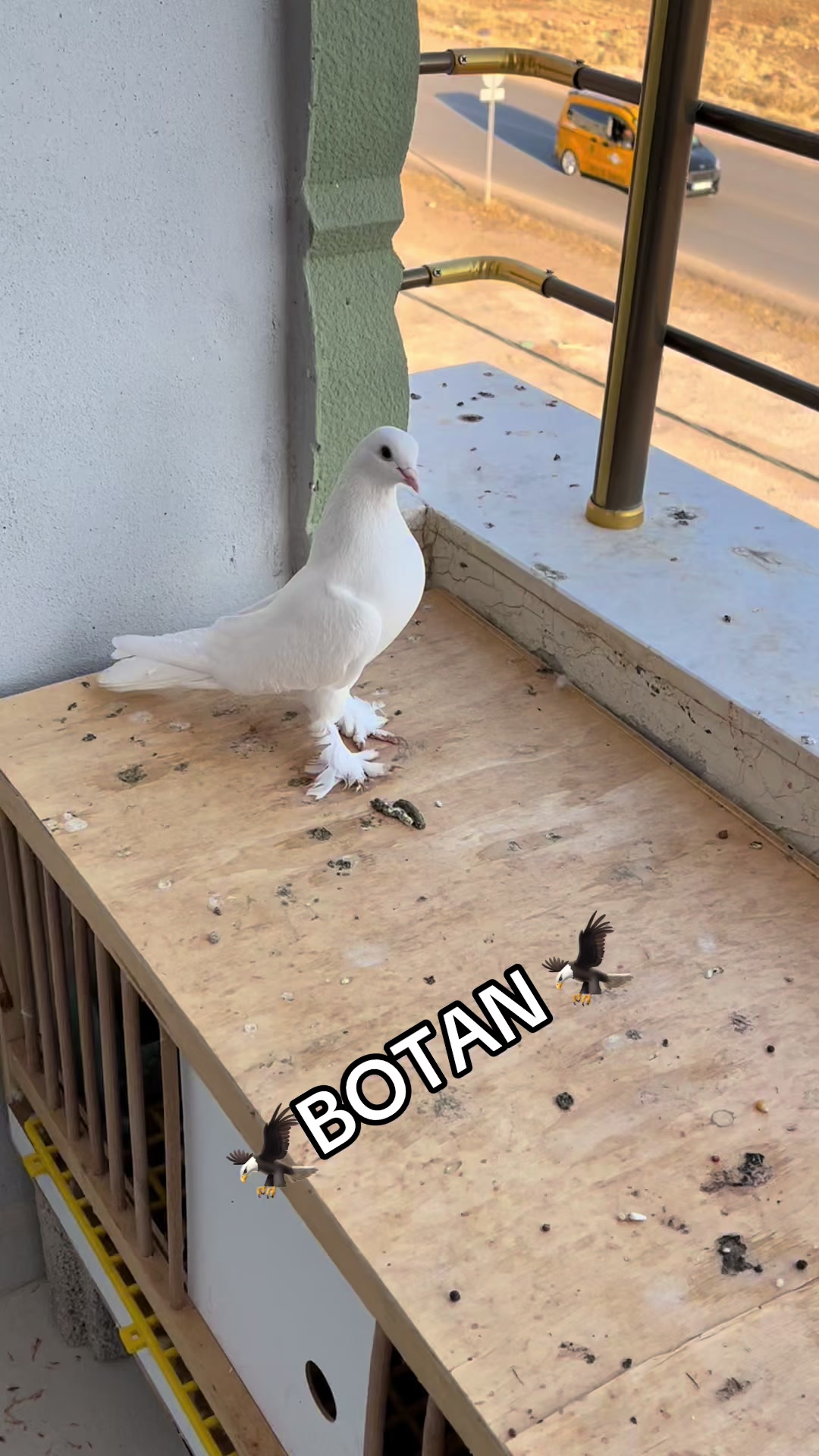 @47 argeş
