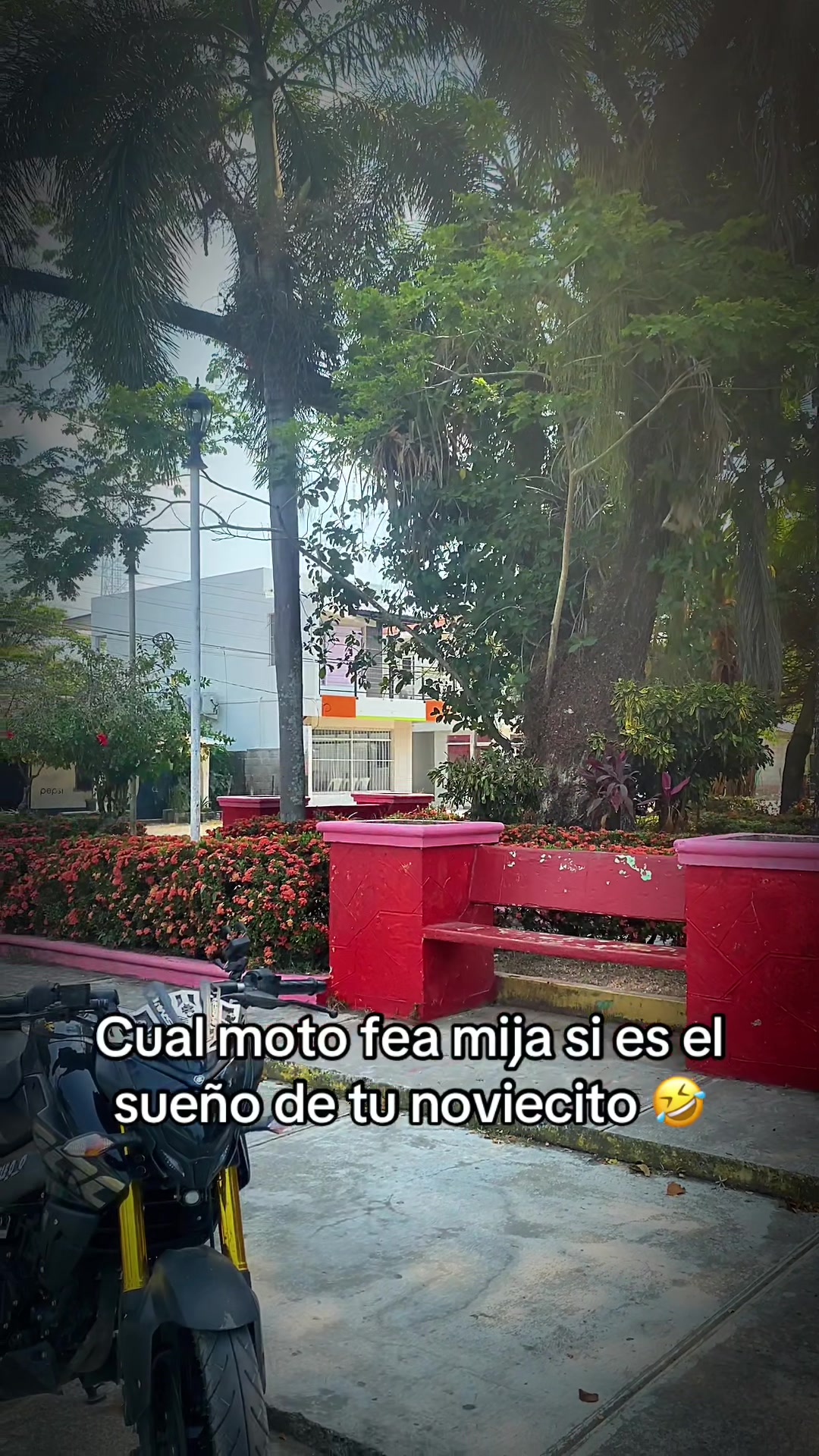 @Alejandro24🖤
