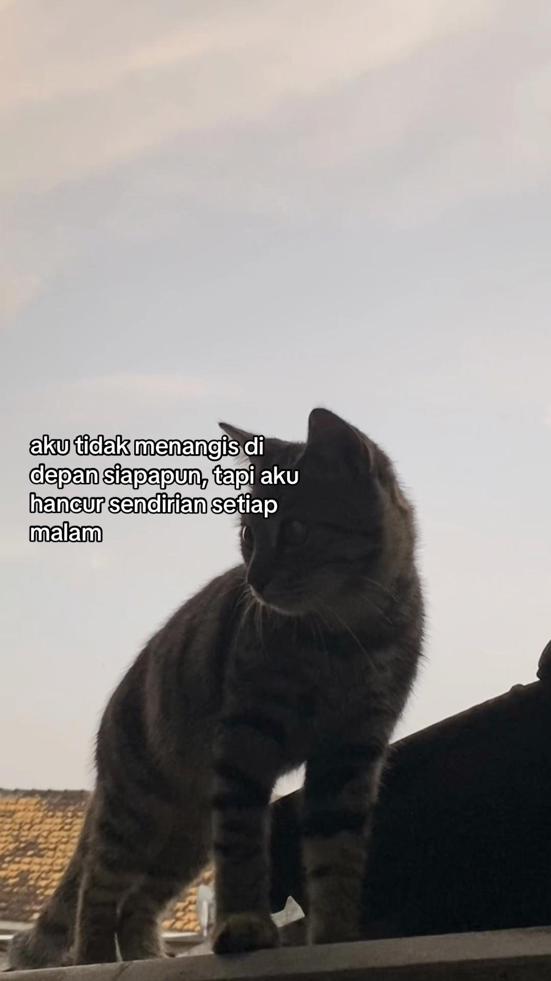 @ulyaaa