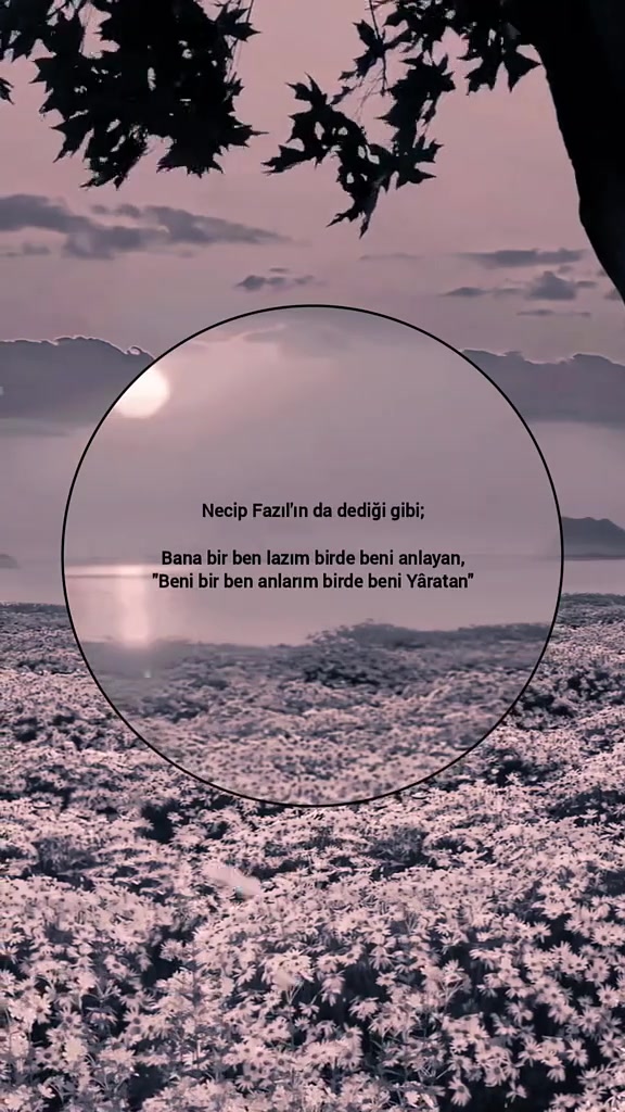 @𝘠⃨⃰𝘎⃨⃰