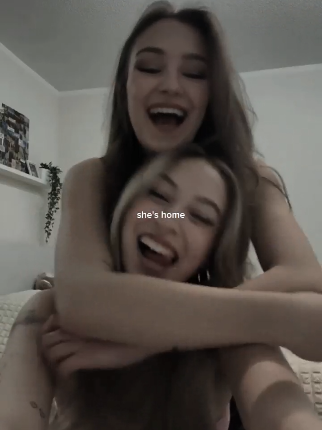 @Template Lulaa