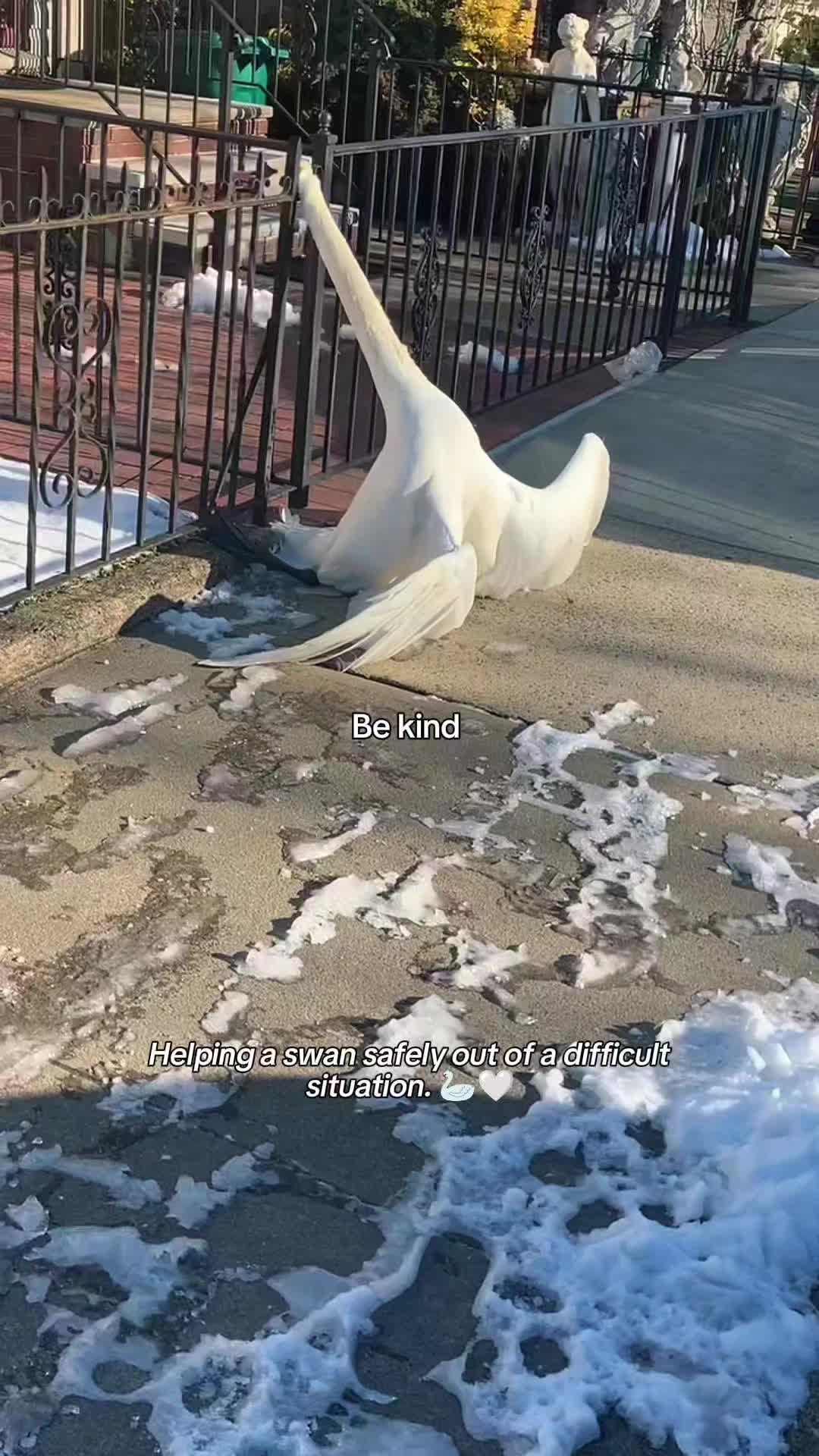 @WildwonderzZzz