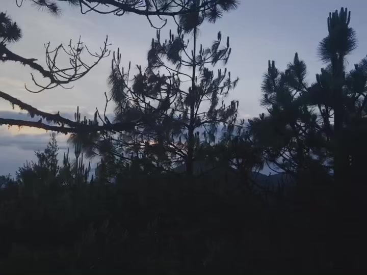 @ᛉ
