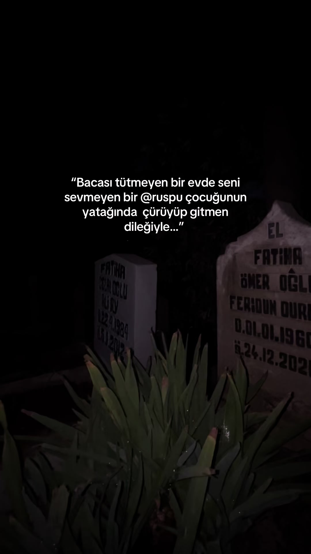 @Sevdas_whispers🥀