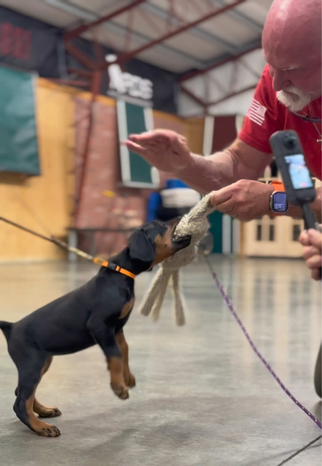 @Protection Dog Sales