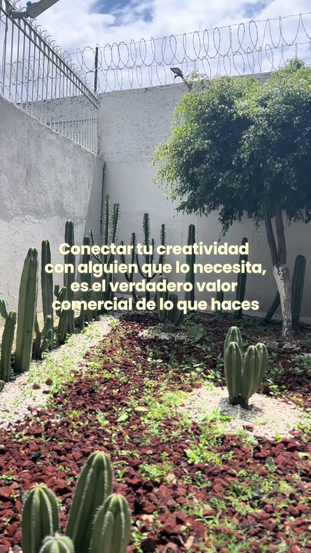 @Gajo de Naranja 🍊