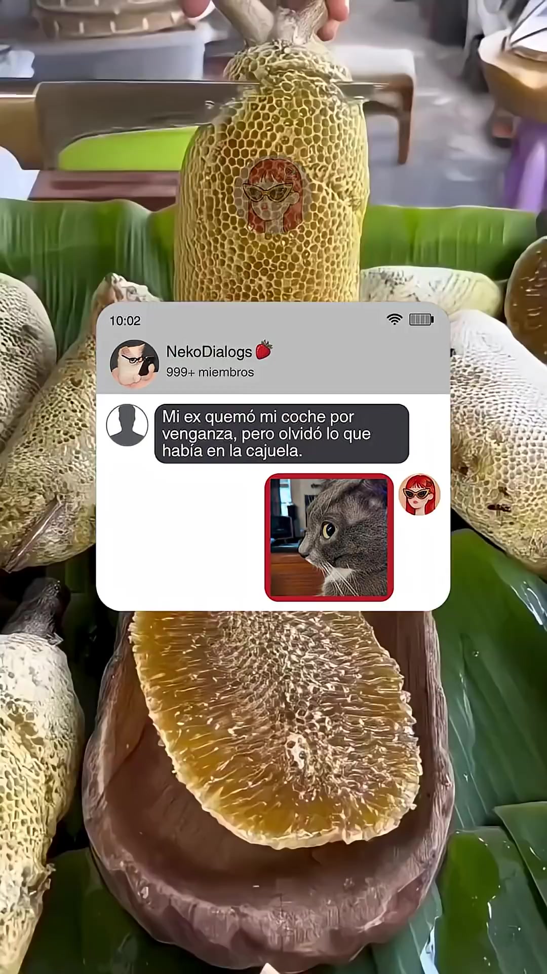 @DavClips