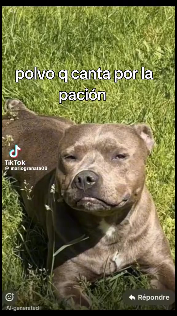 @Jaime Cordoba887ocitojugueton