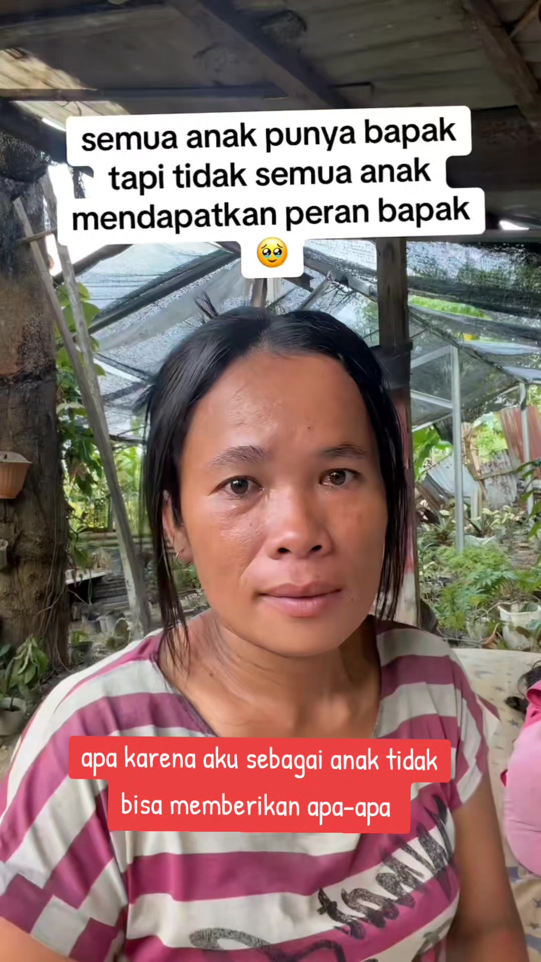 @🌟 ♥️ wadon star sayang ♥️🌟