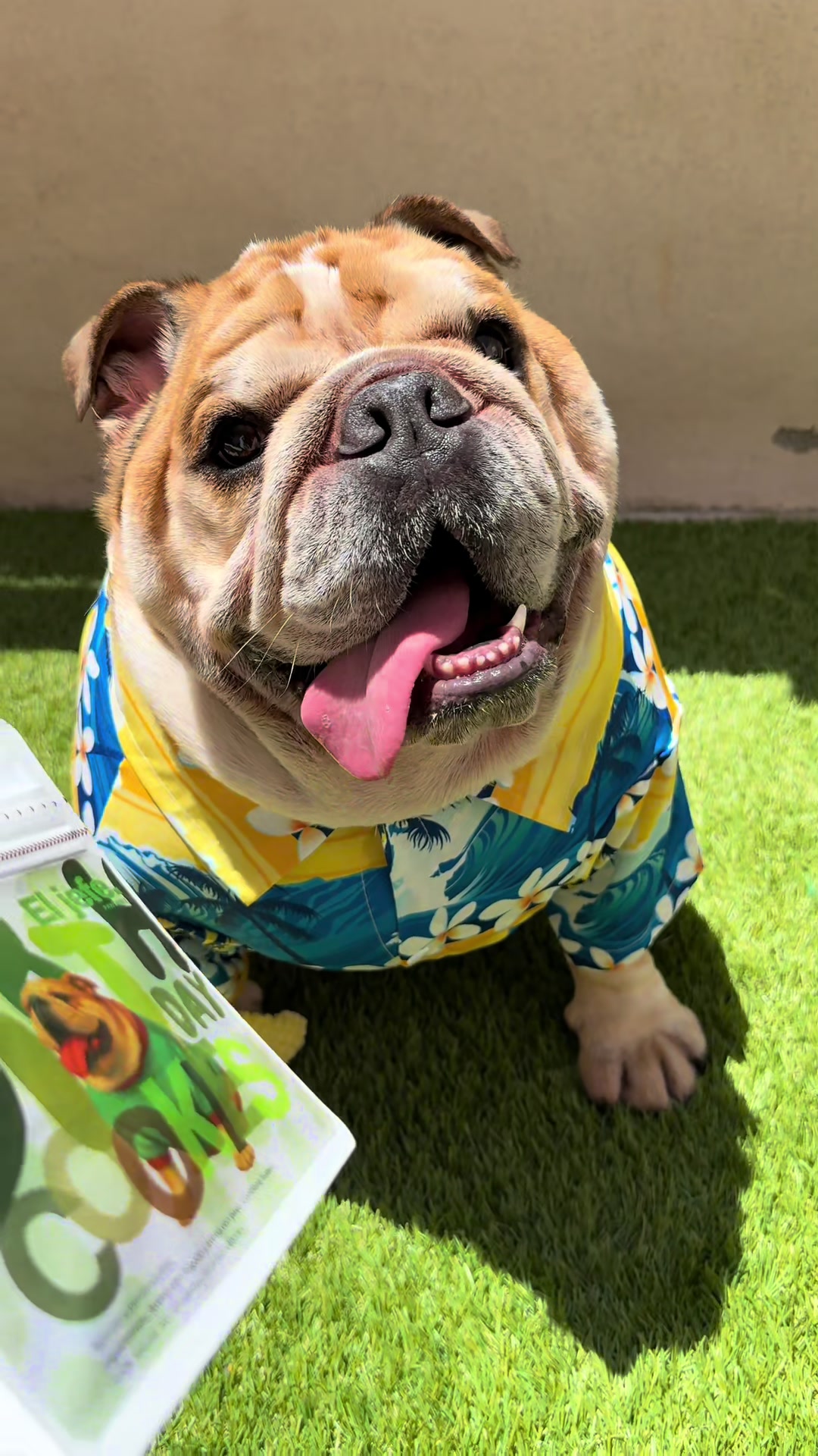 @Campeón Winston