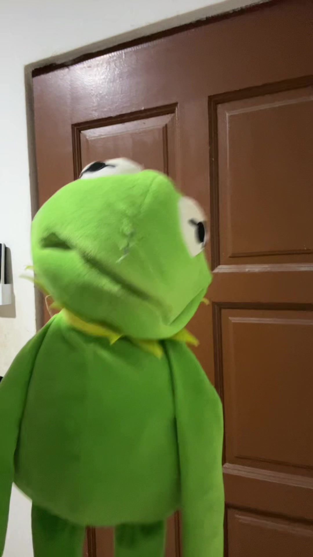 @Kermit Reacts / TIG 01T