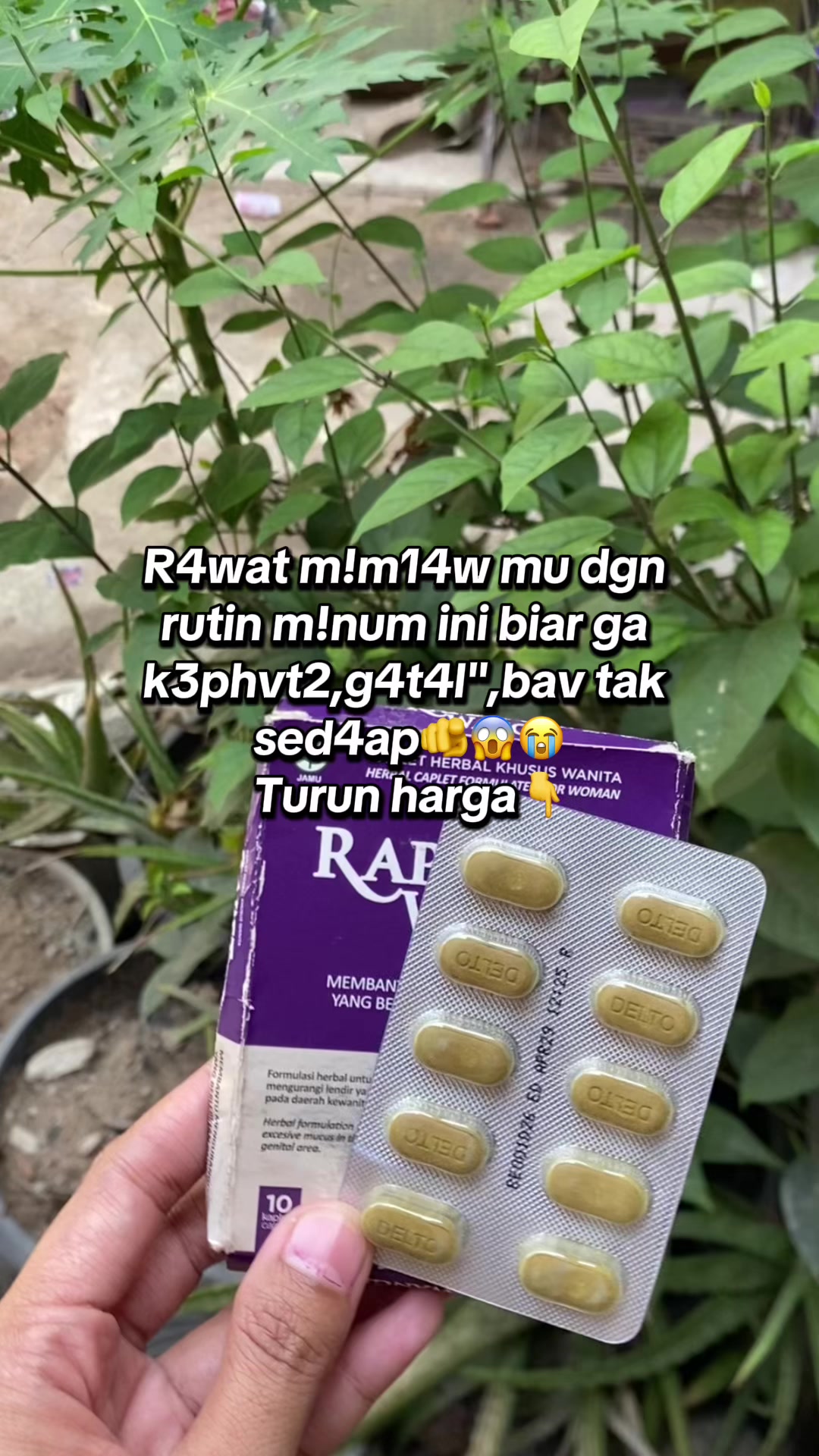 @fifi