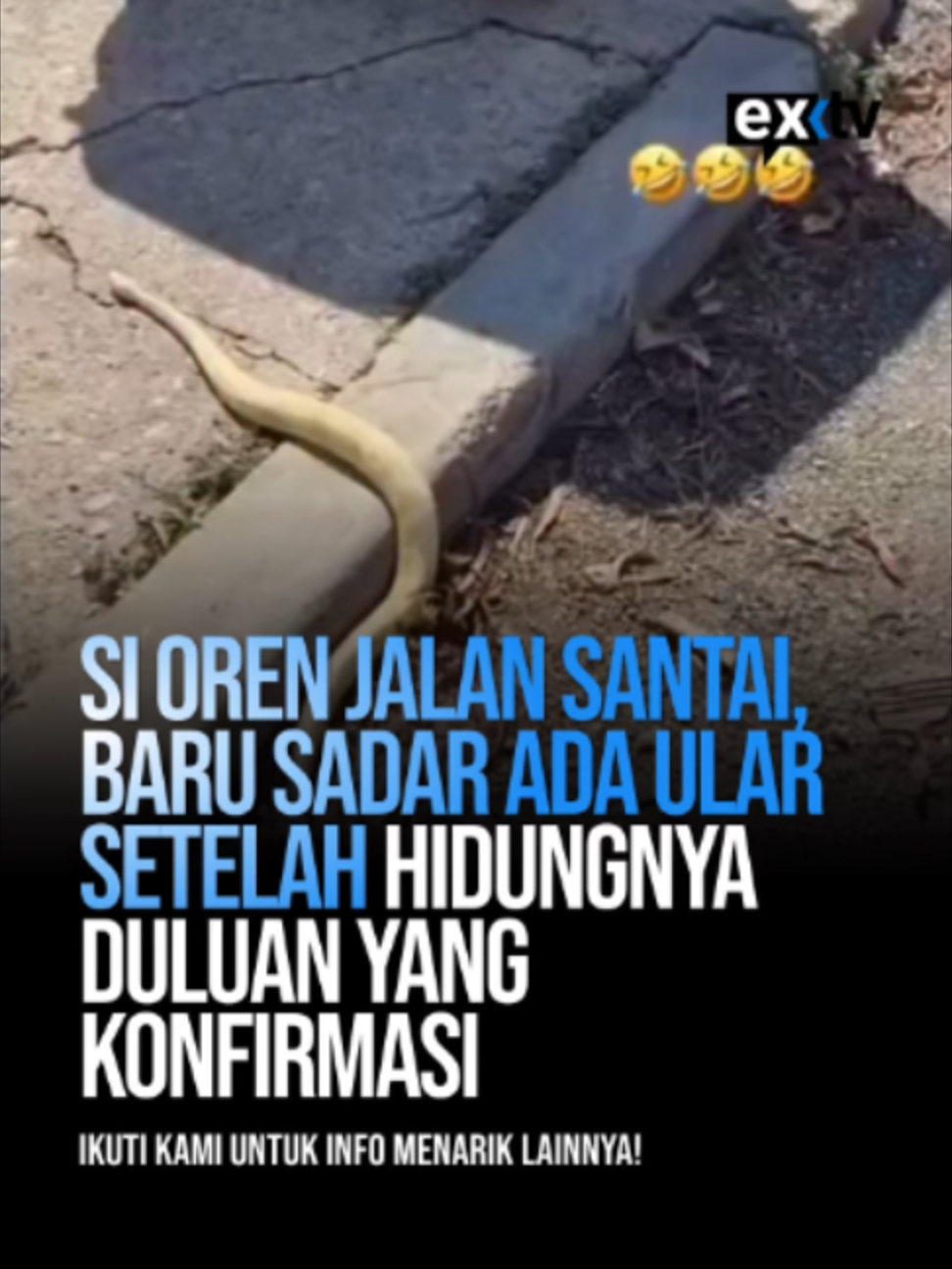 @Expressi Media