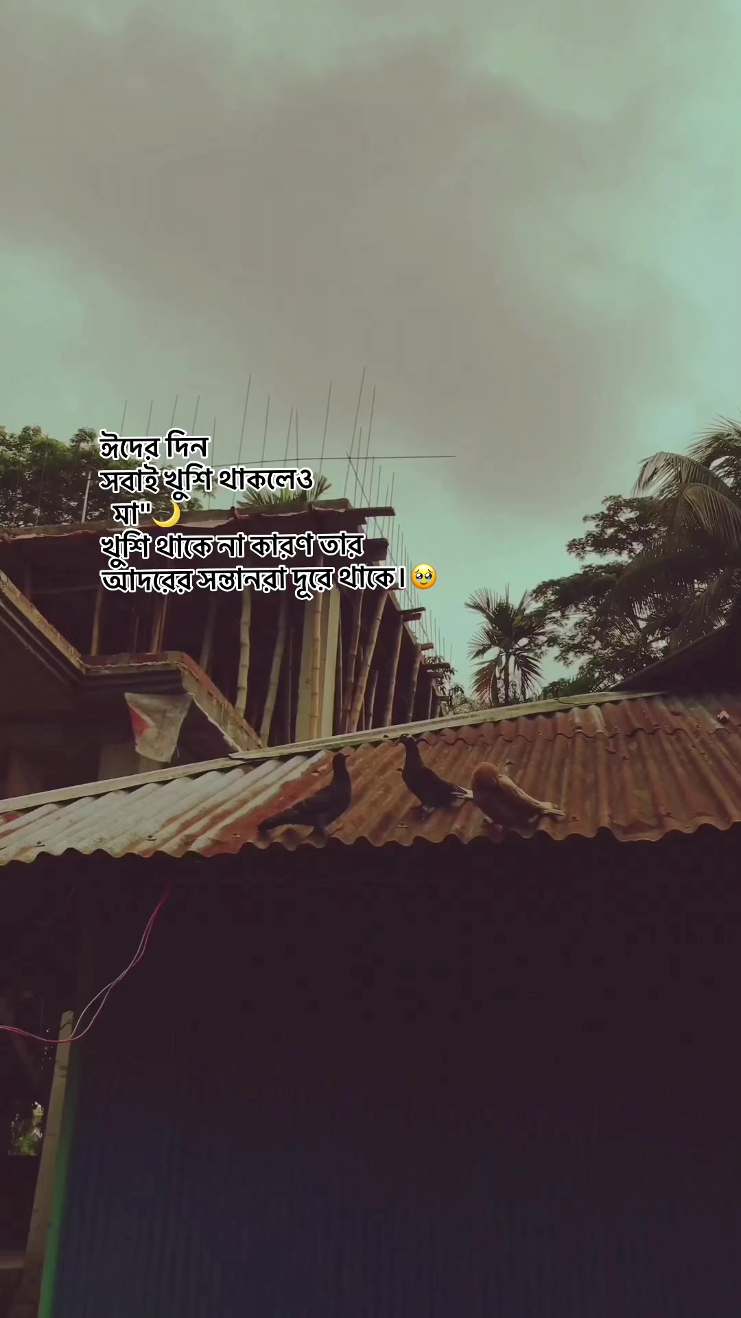 @KoliKhanđĒ´
