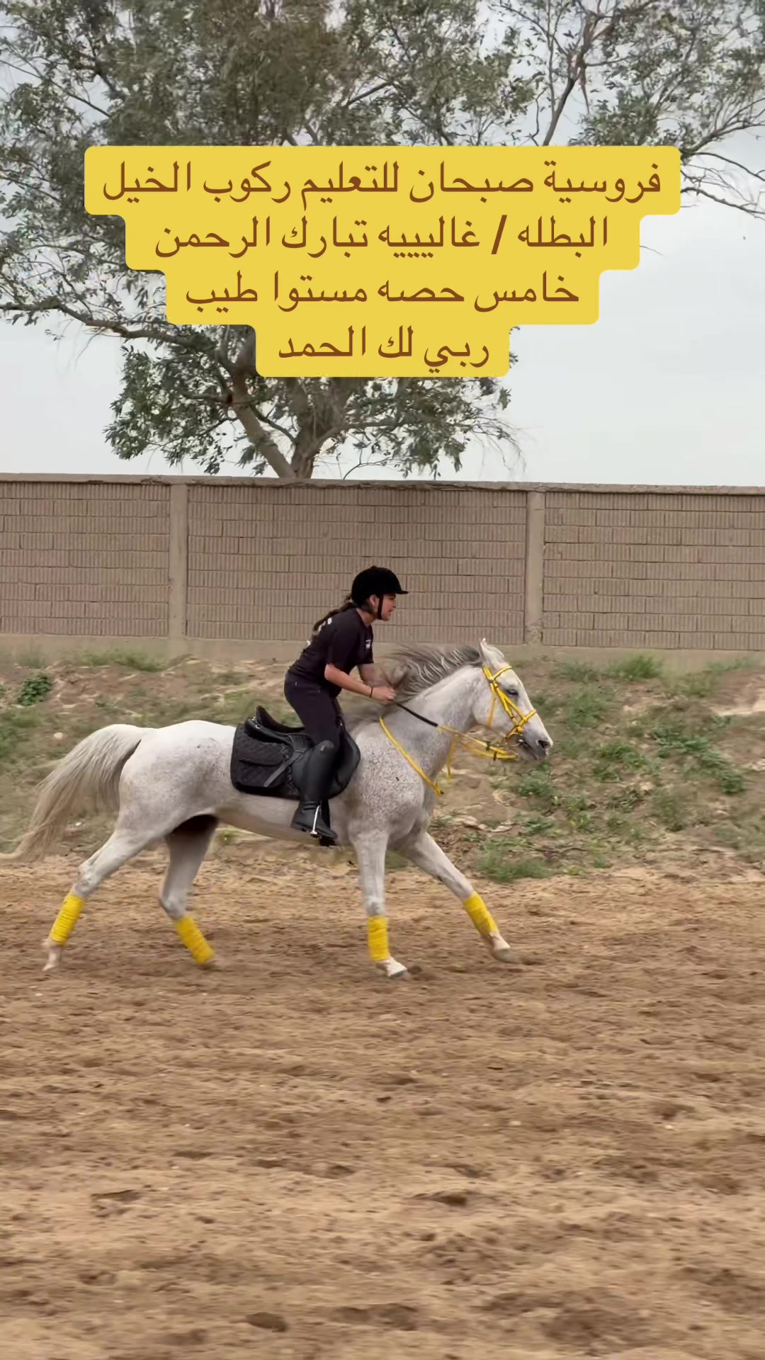 @فروسية صبحان ☑️🥇