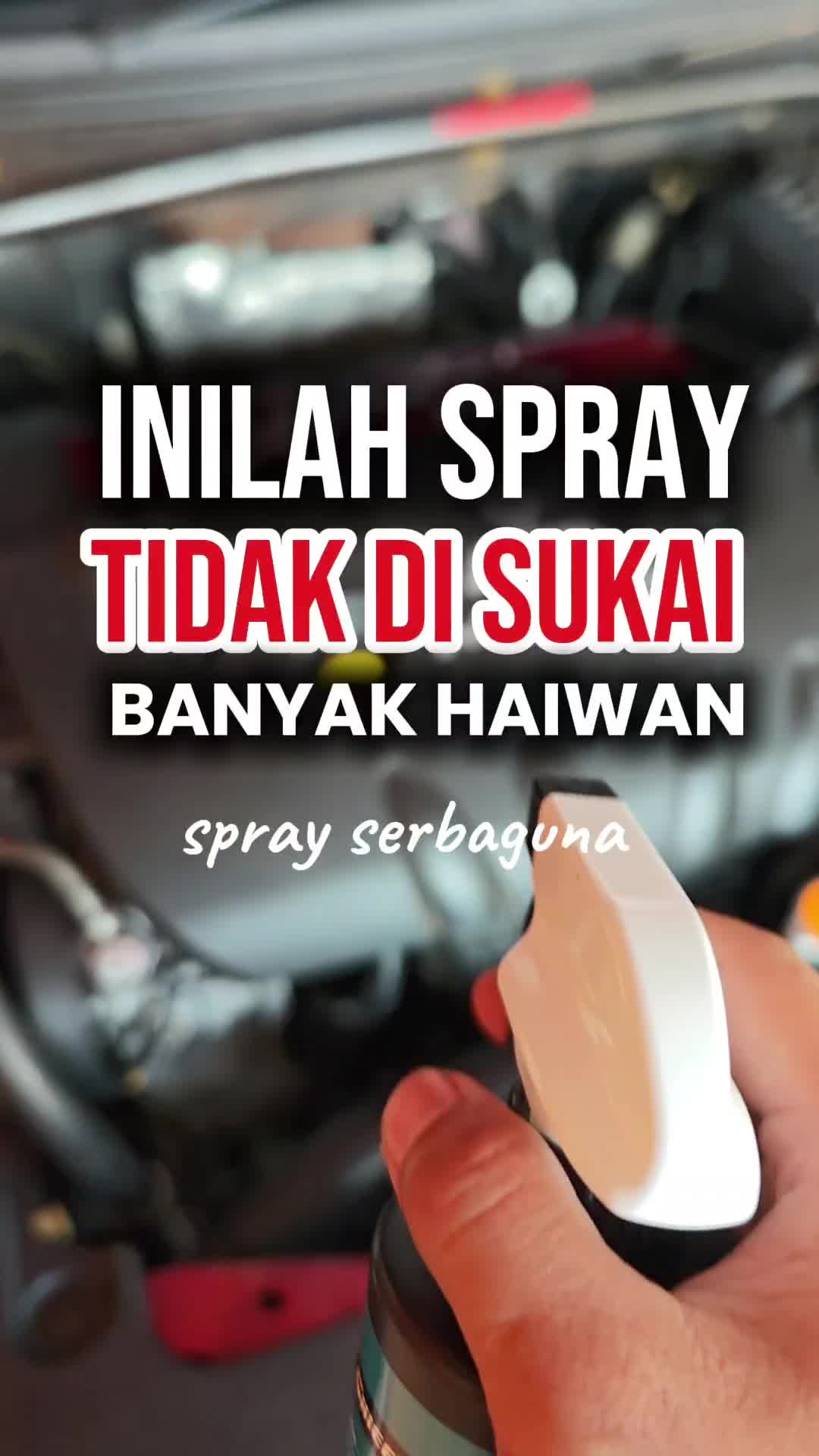 @Maswaninorsyahida