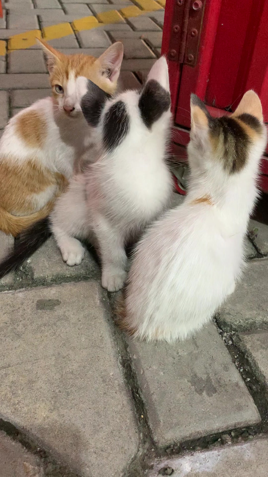 @dewiw