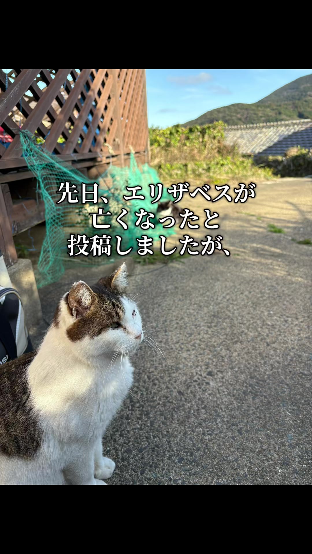 @ブルースカイの倫